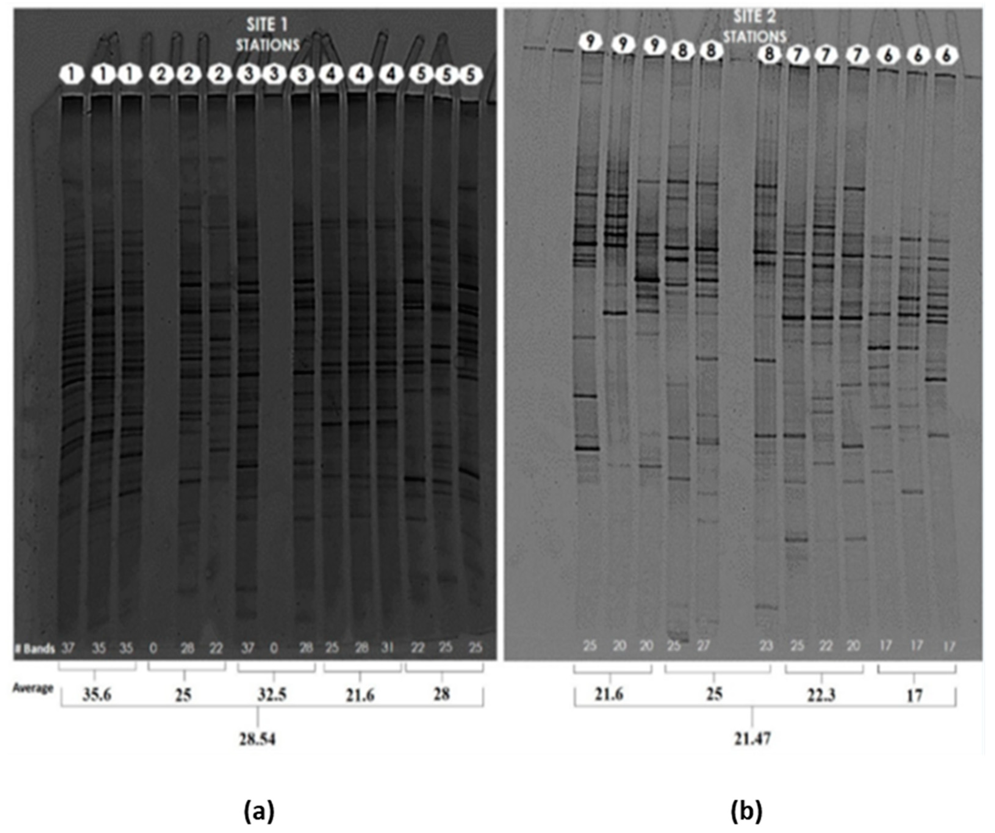 Microorganisms 10 02019 g001a