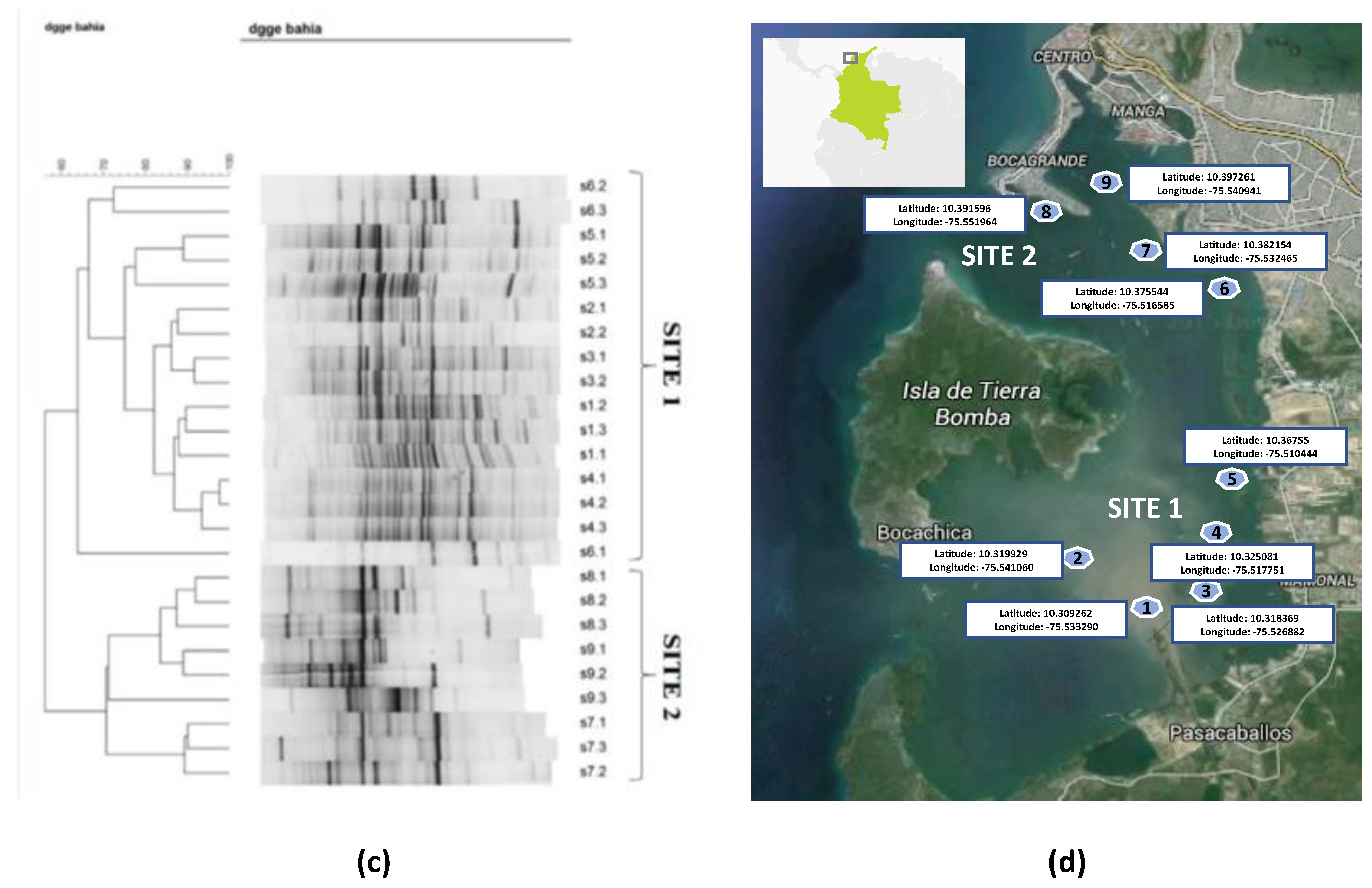 Microorganisms 10 02019 g001b