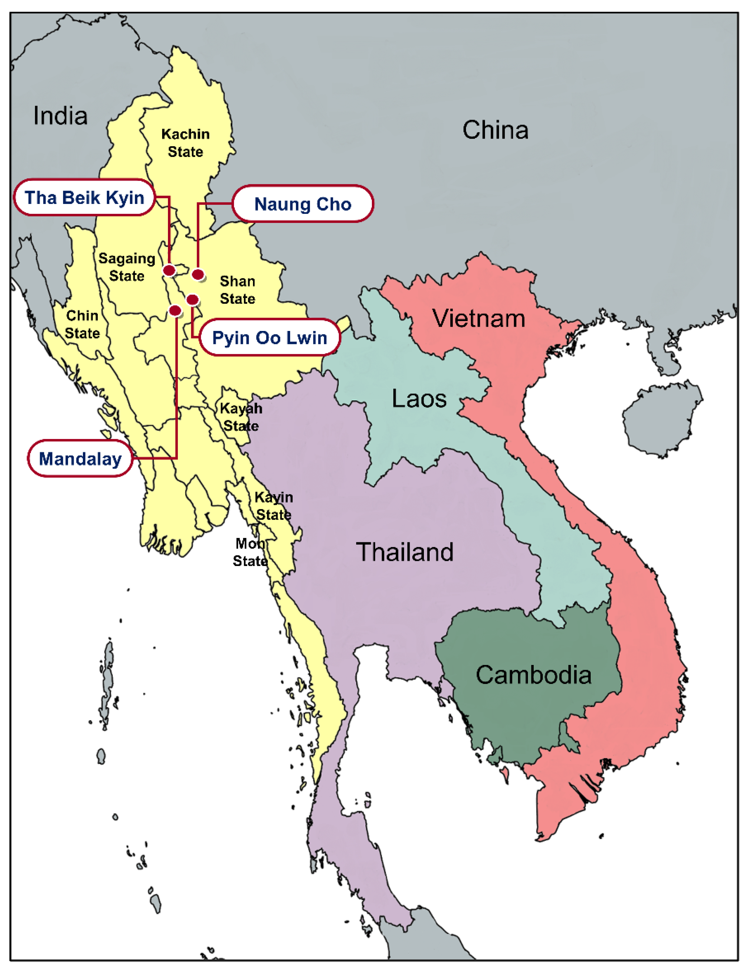 Microorganisms 10 02021 g001
