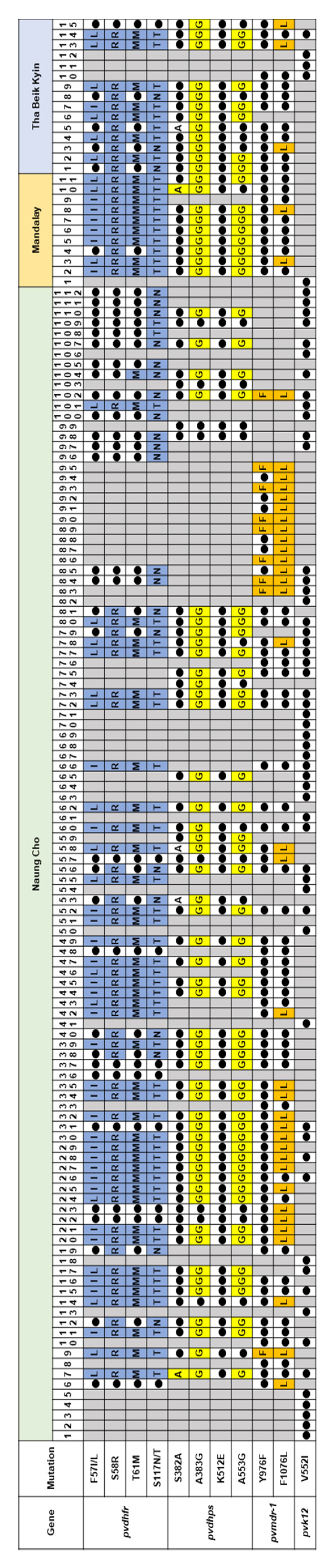Microorganisms 10 02021 g008