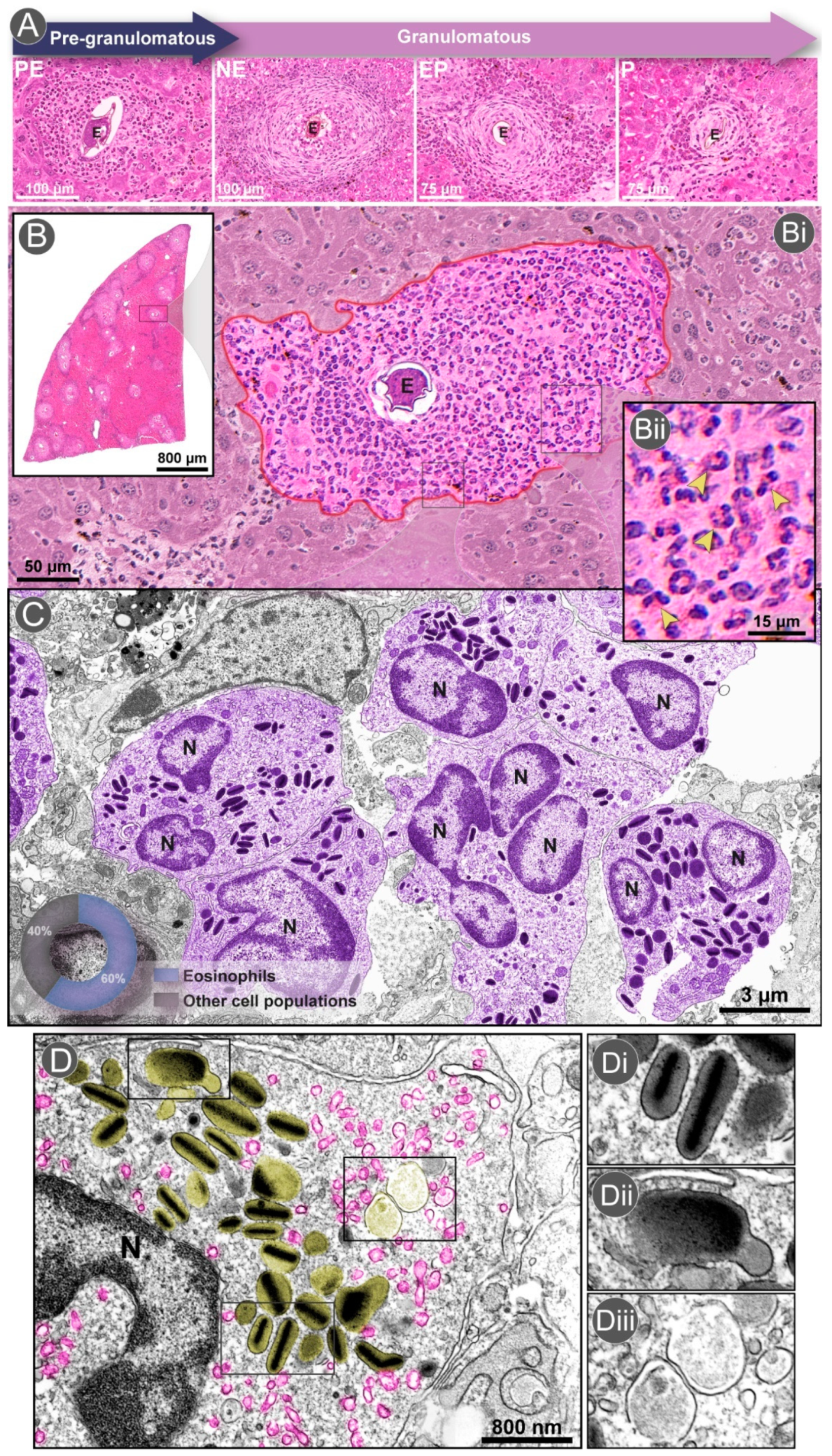 Microorganisms 10 02022 g001