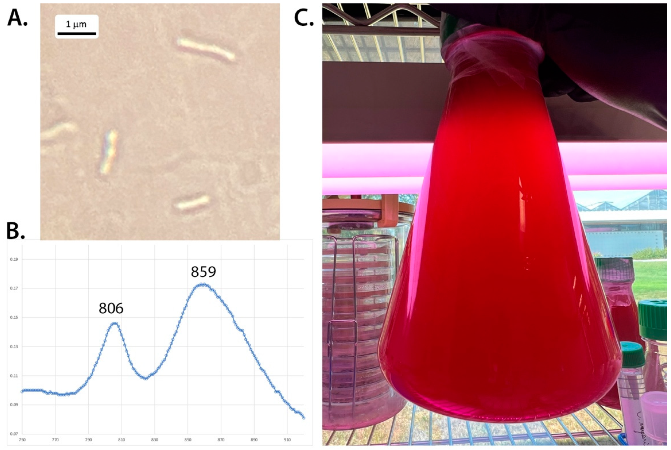 Microorganisms 10 02024 g001 Microorganisms 10 02024 g001