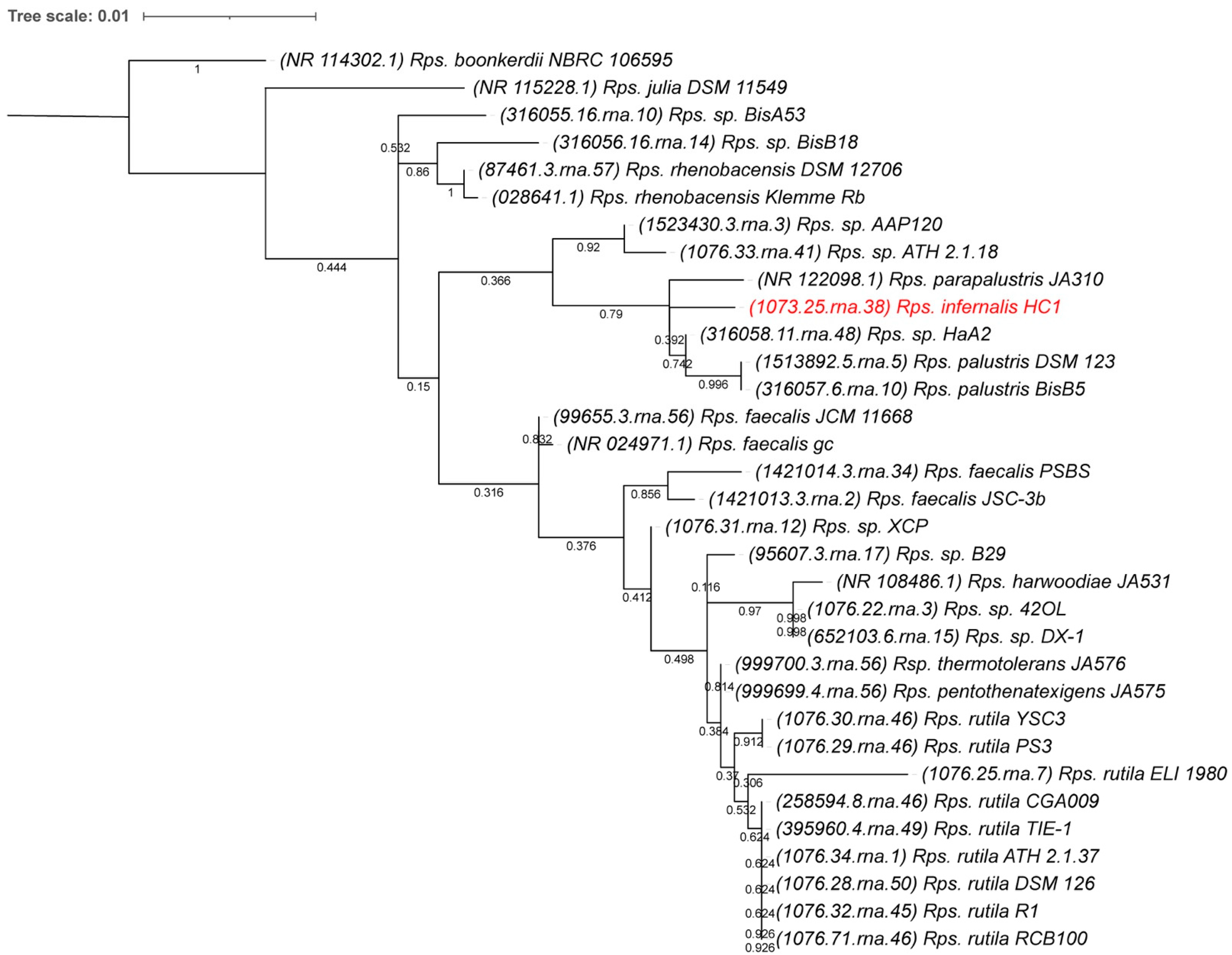 Microorganisms 10 02024 g003 Microorganisms 10 02024 g003
