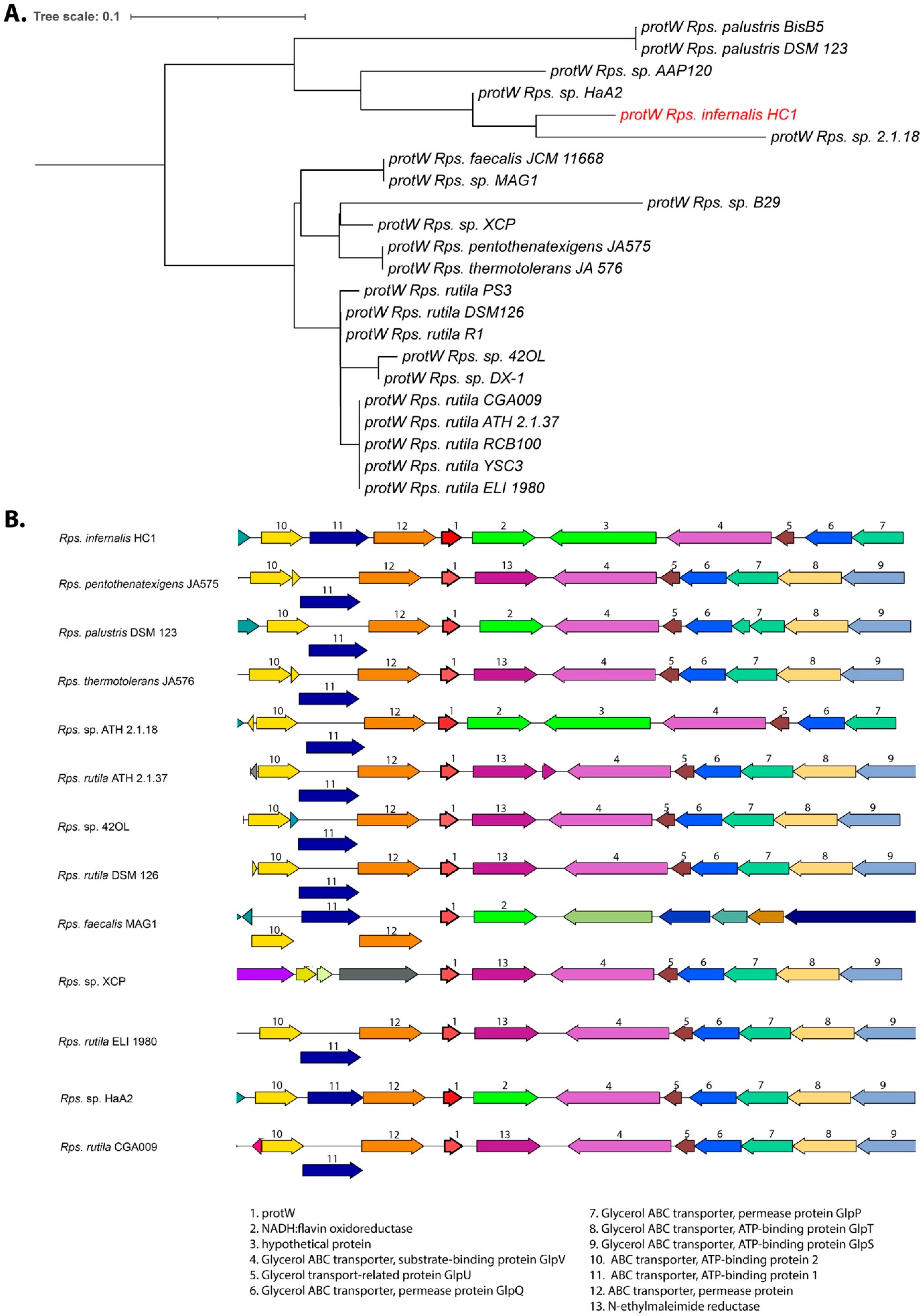 Microorganisms 10 02024 g004 Microorganisms 10 02024 g004