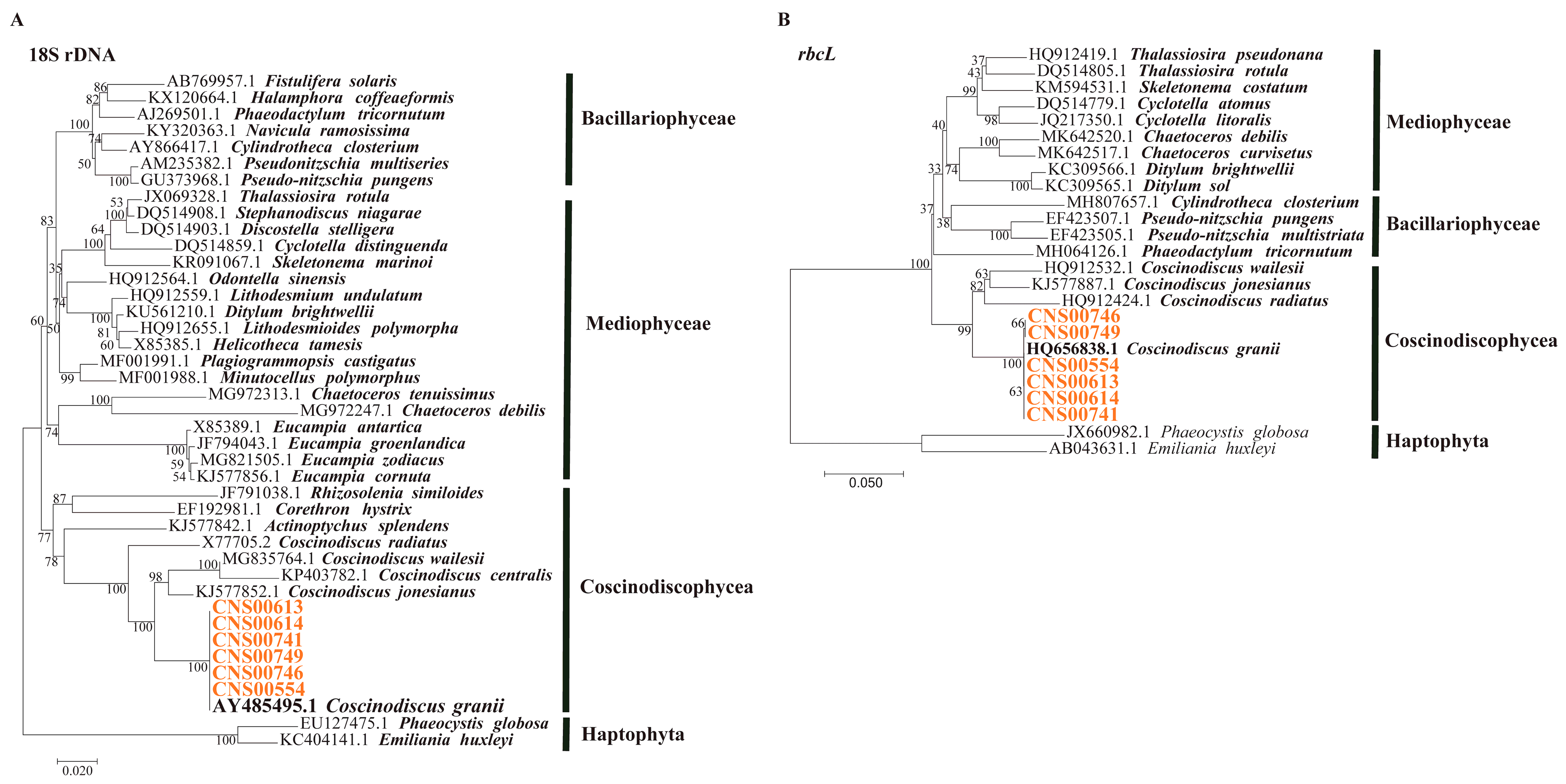 Microorganisms 10 02028 g003