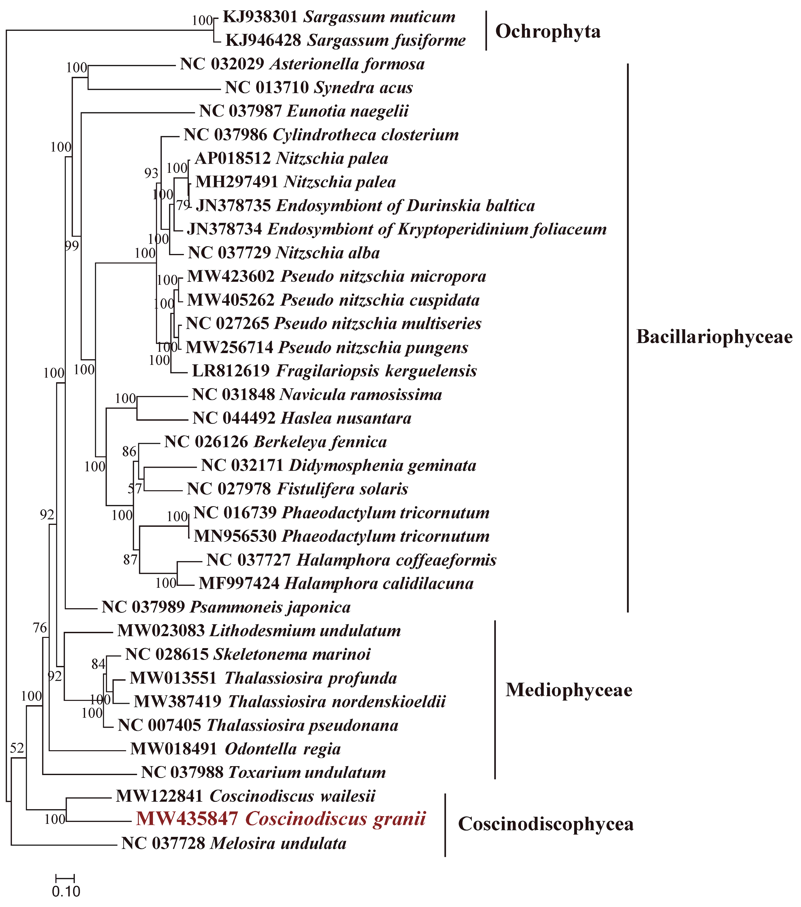 Microorganisms 10 02028 g005