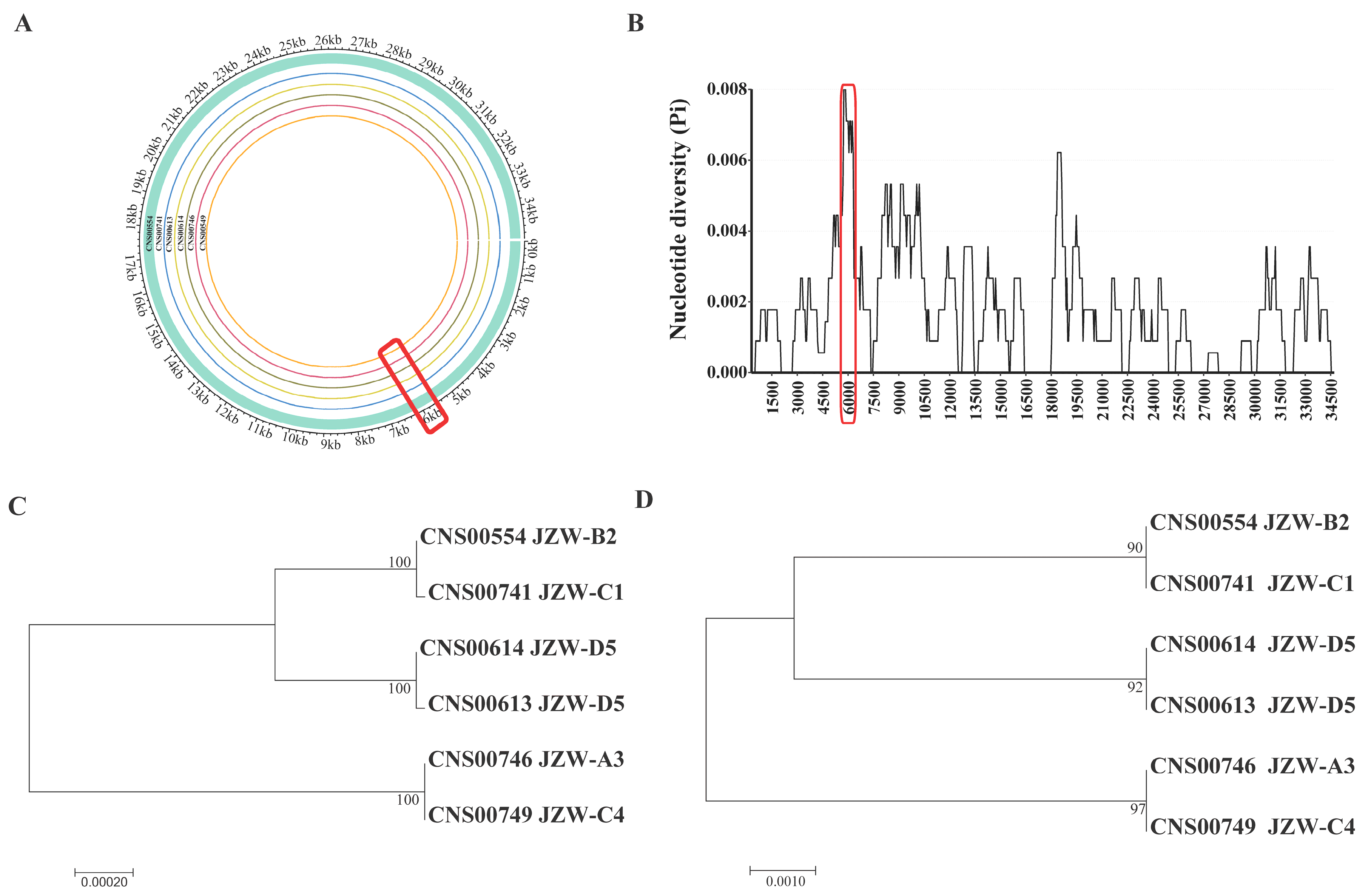 Microorganisms 10 02028 g007