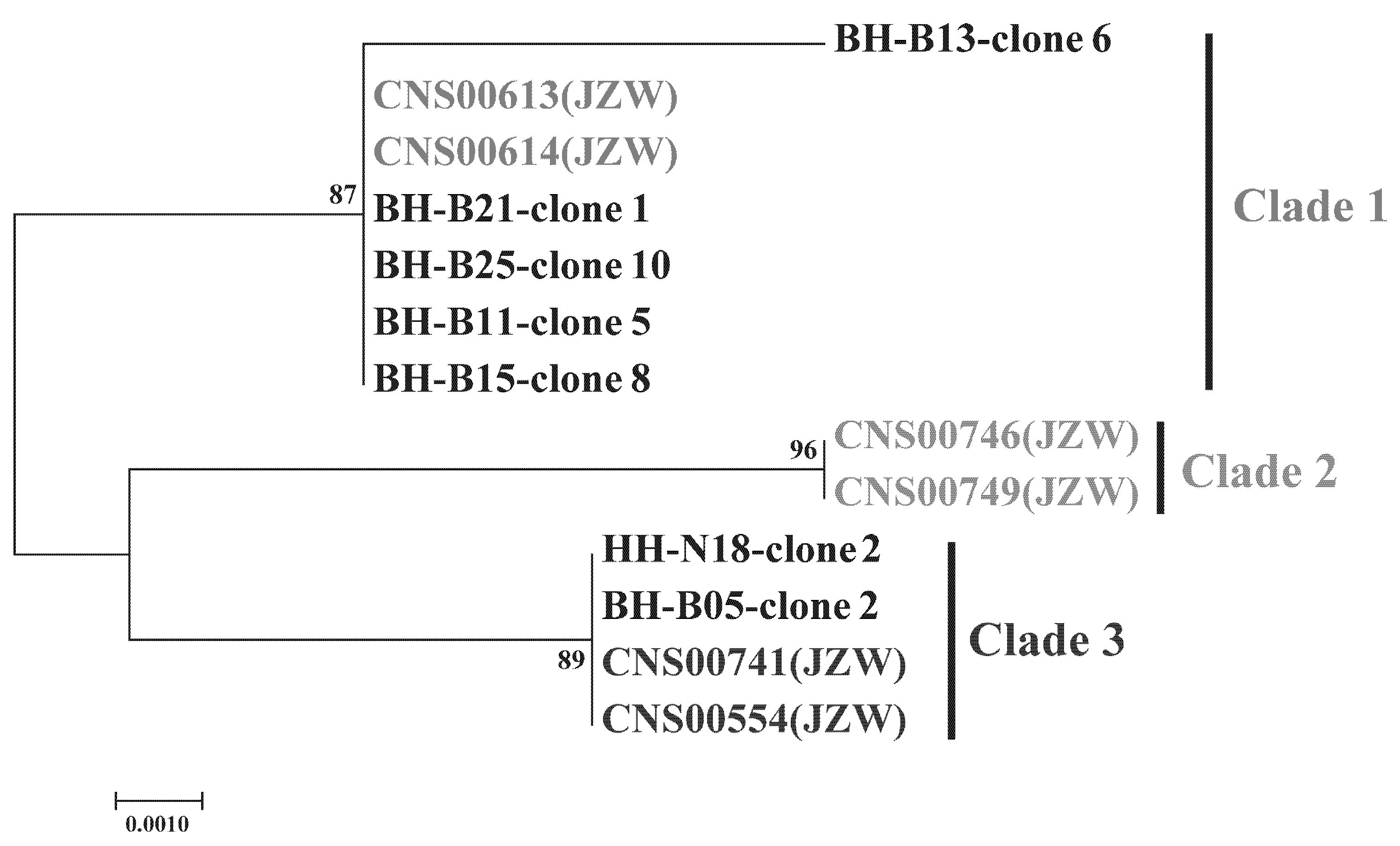 Microorganisms 10 02028 g008