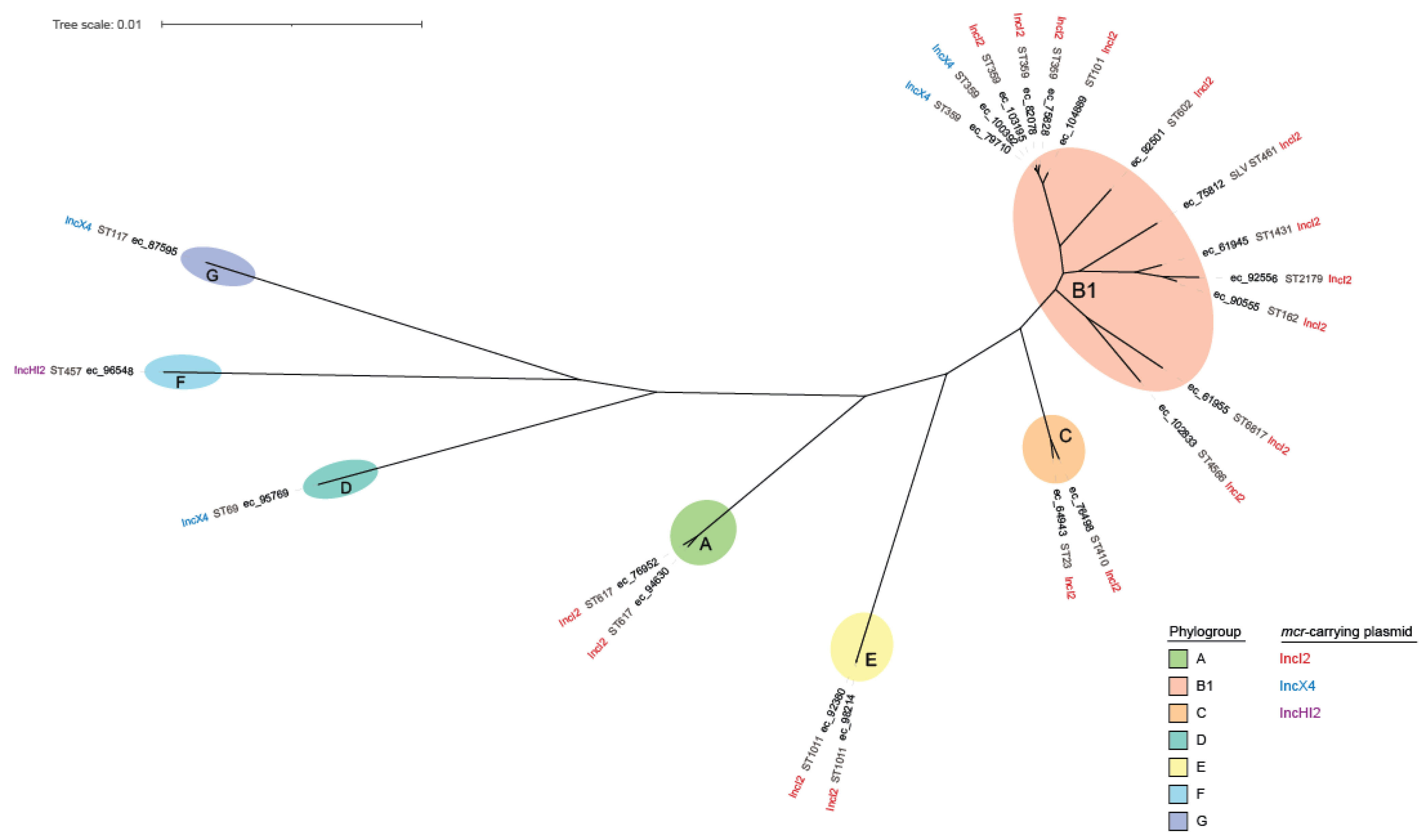 Microorganisms 10 02034 g002