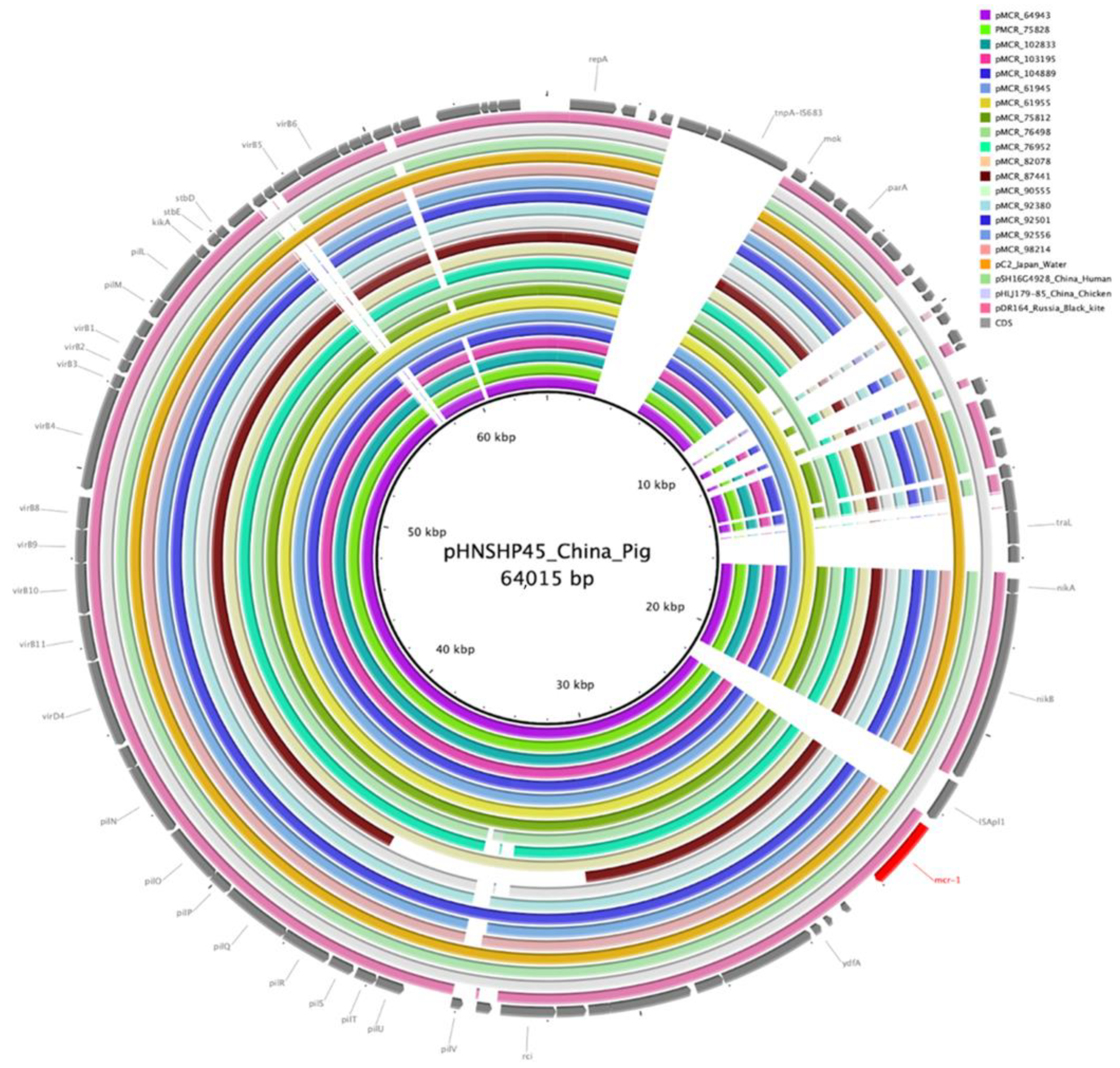 Microorganisms 10 02034 g004
