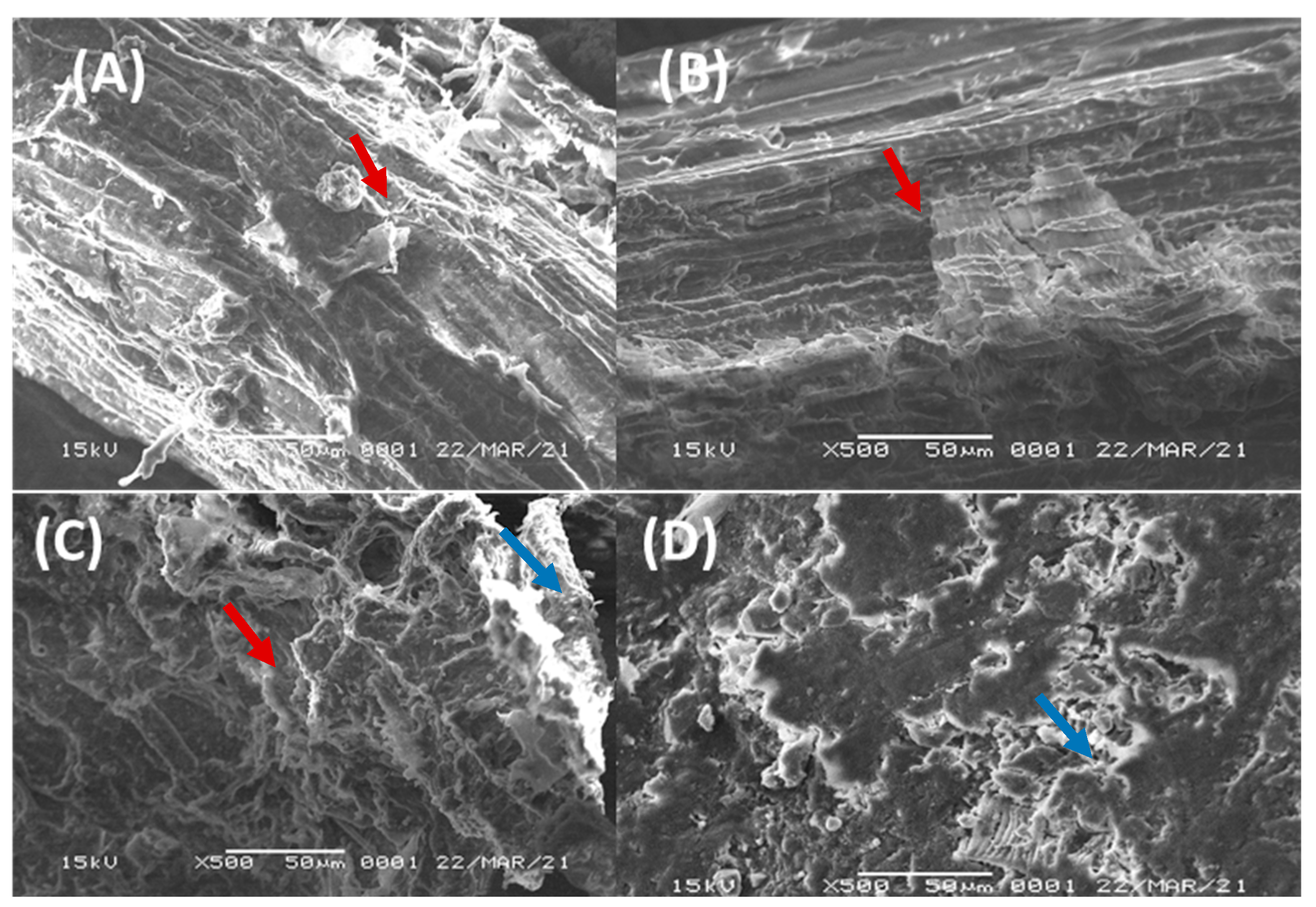 Microorganisms 10 02036 g004