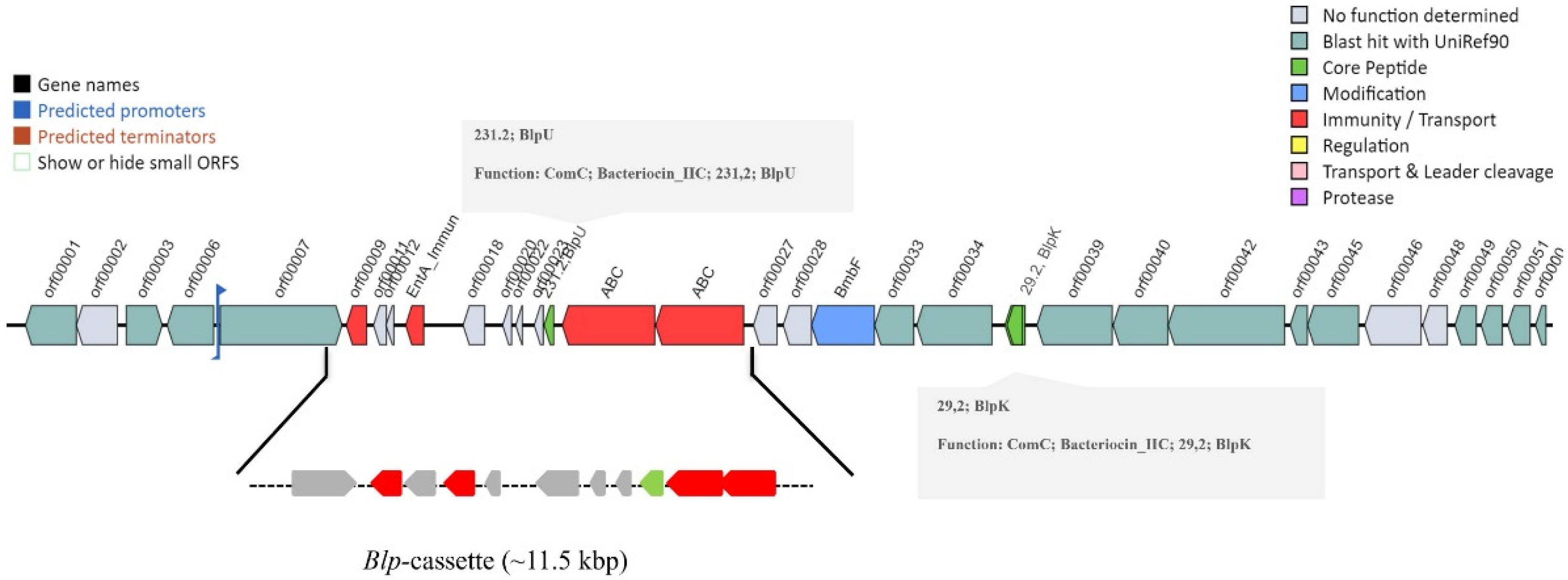 Microorganisms 10 02042 g002