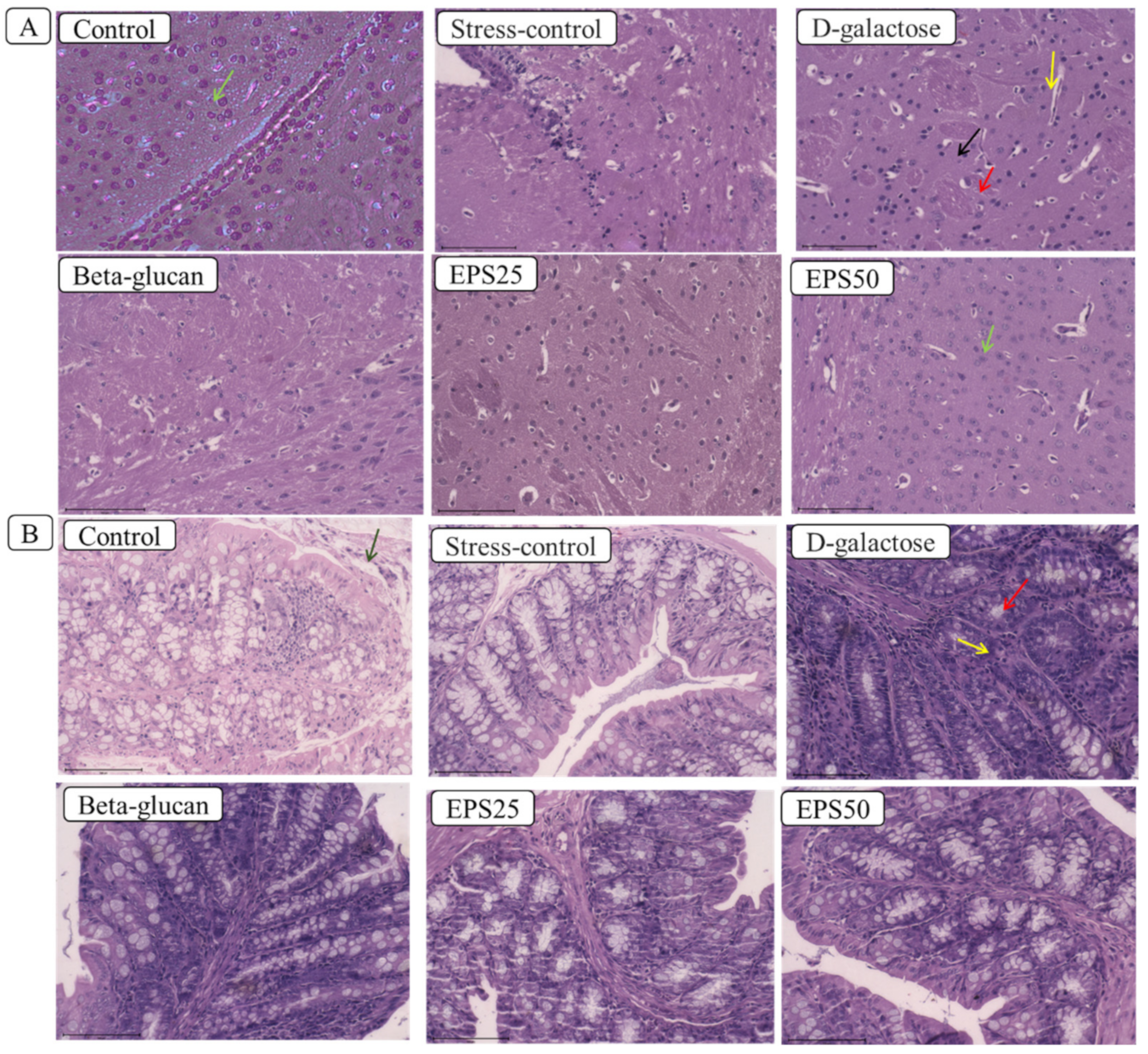 Microorganisms 10 02046 g001 Microorganisms 10 02046 g001