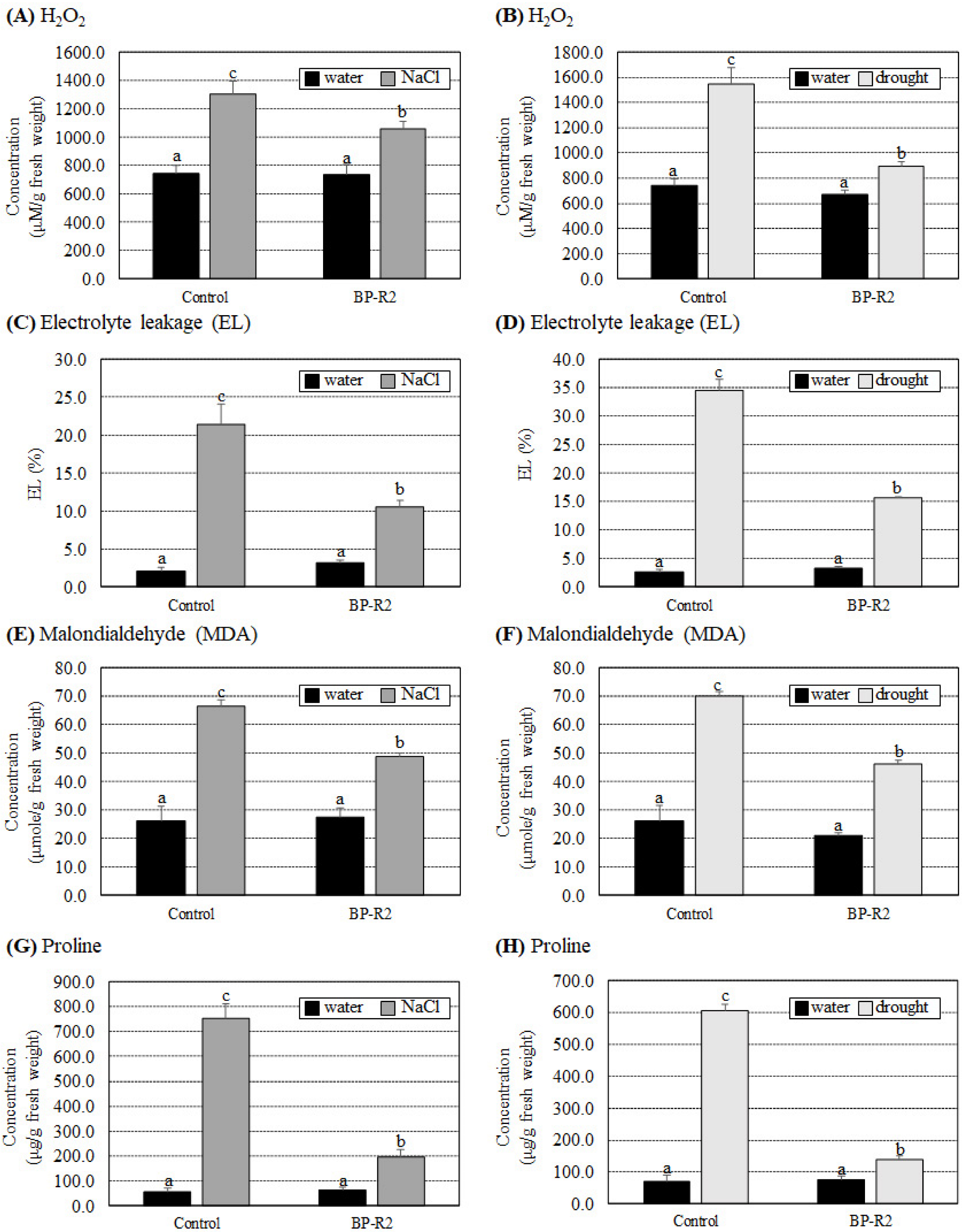 Microorganisms 10 02047 g008 Microorganisms 10 02047 g008