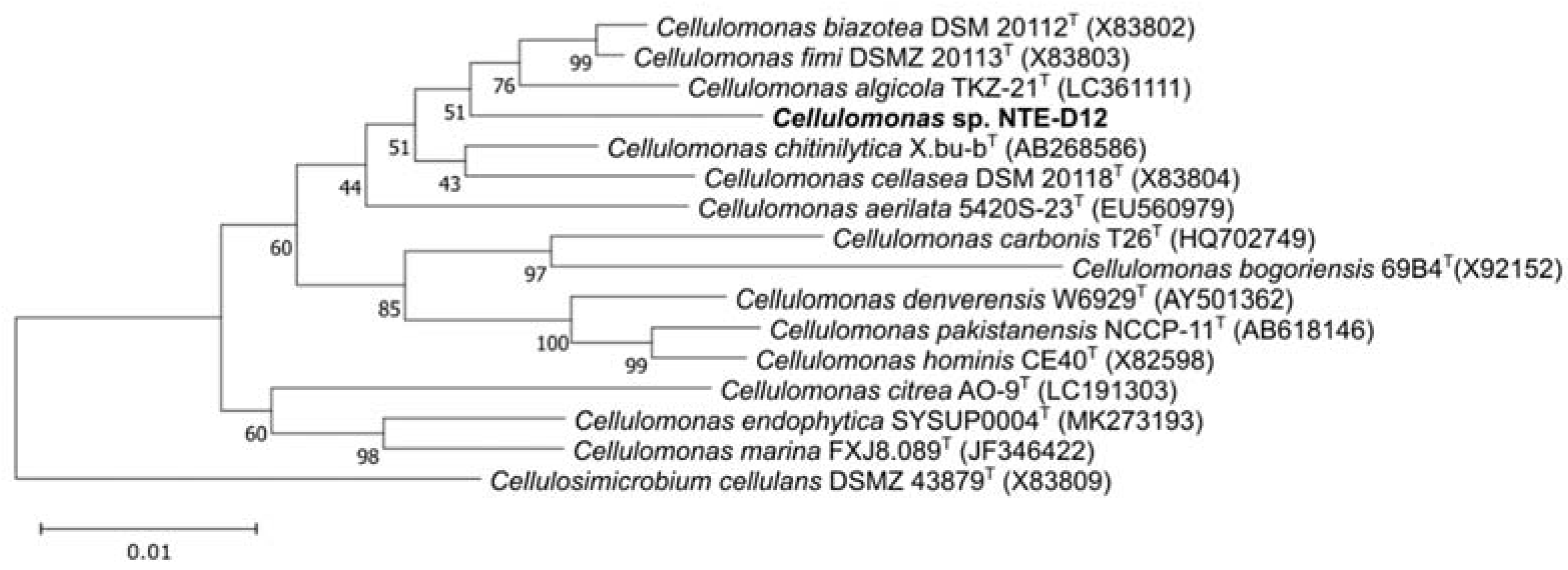 Microorganisms 10 02051 g002