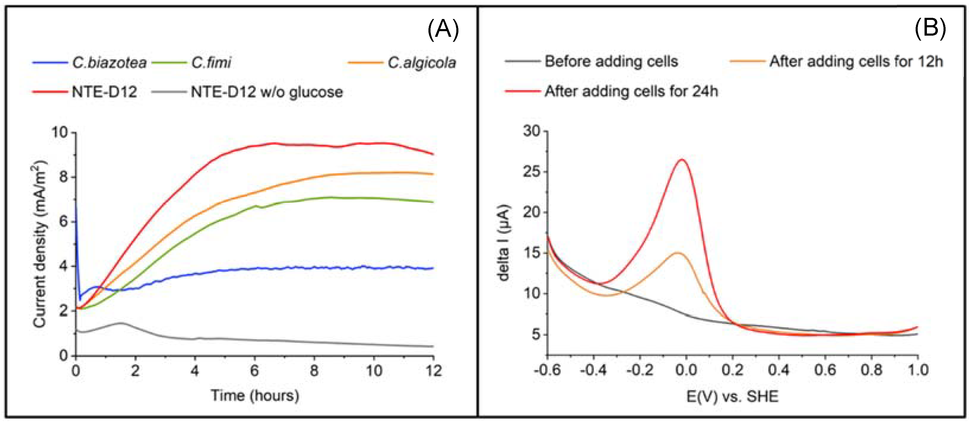 Microorganisms 10 02051 g003