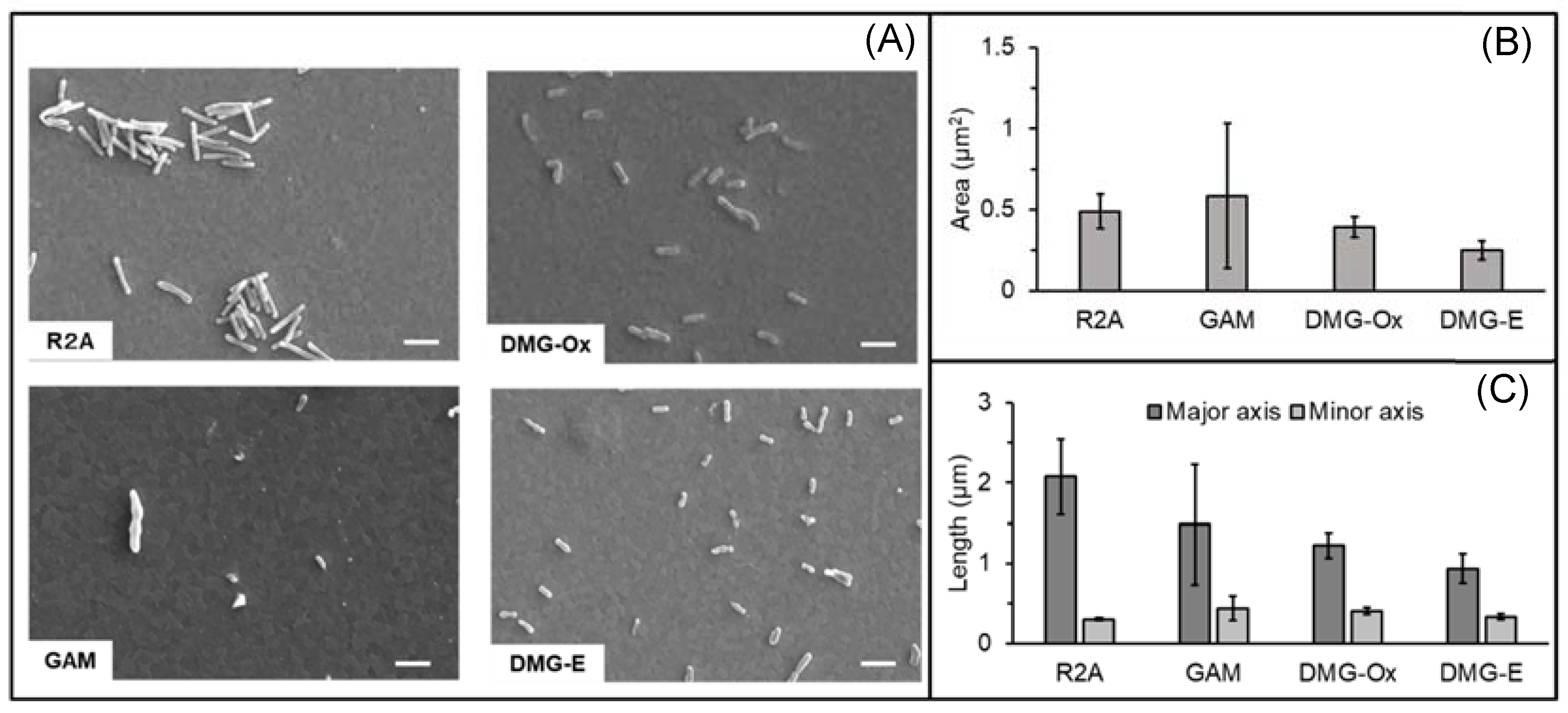 Microorganisms 10 02051 g004