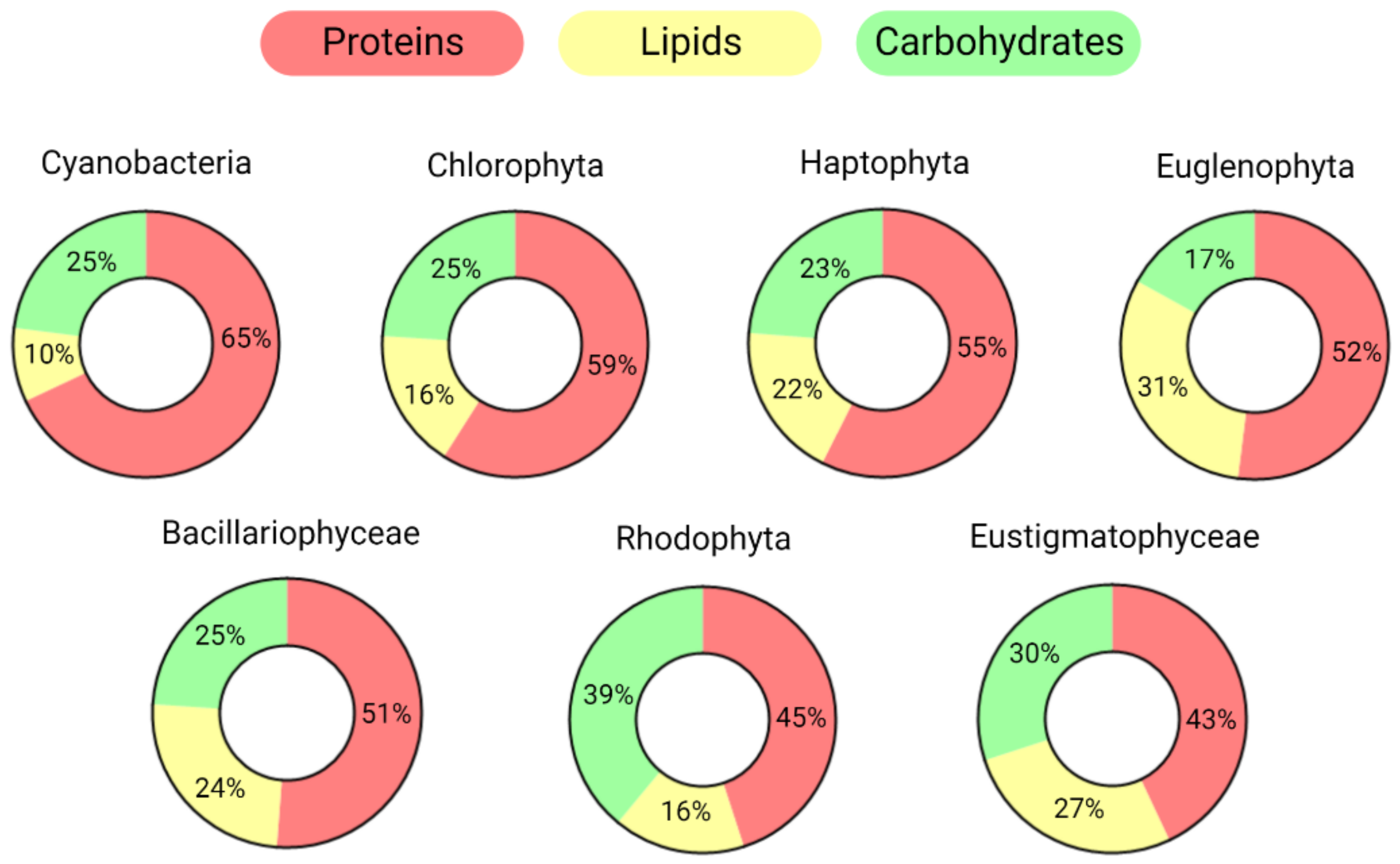 Microorganisms 10 02069 g001