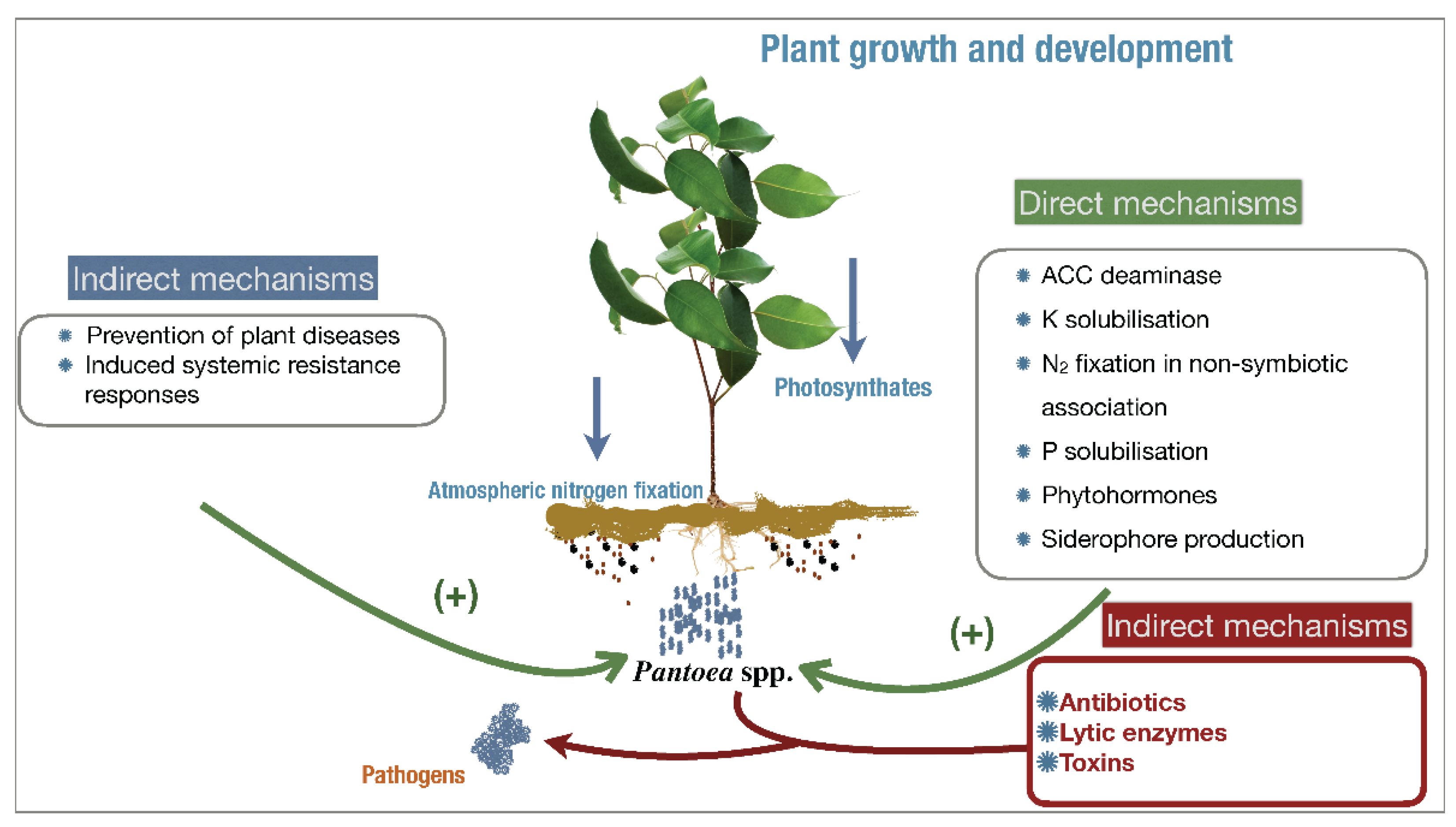 Microorganisms Free Full-Text