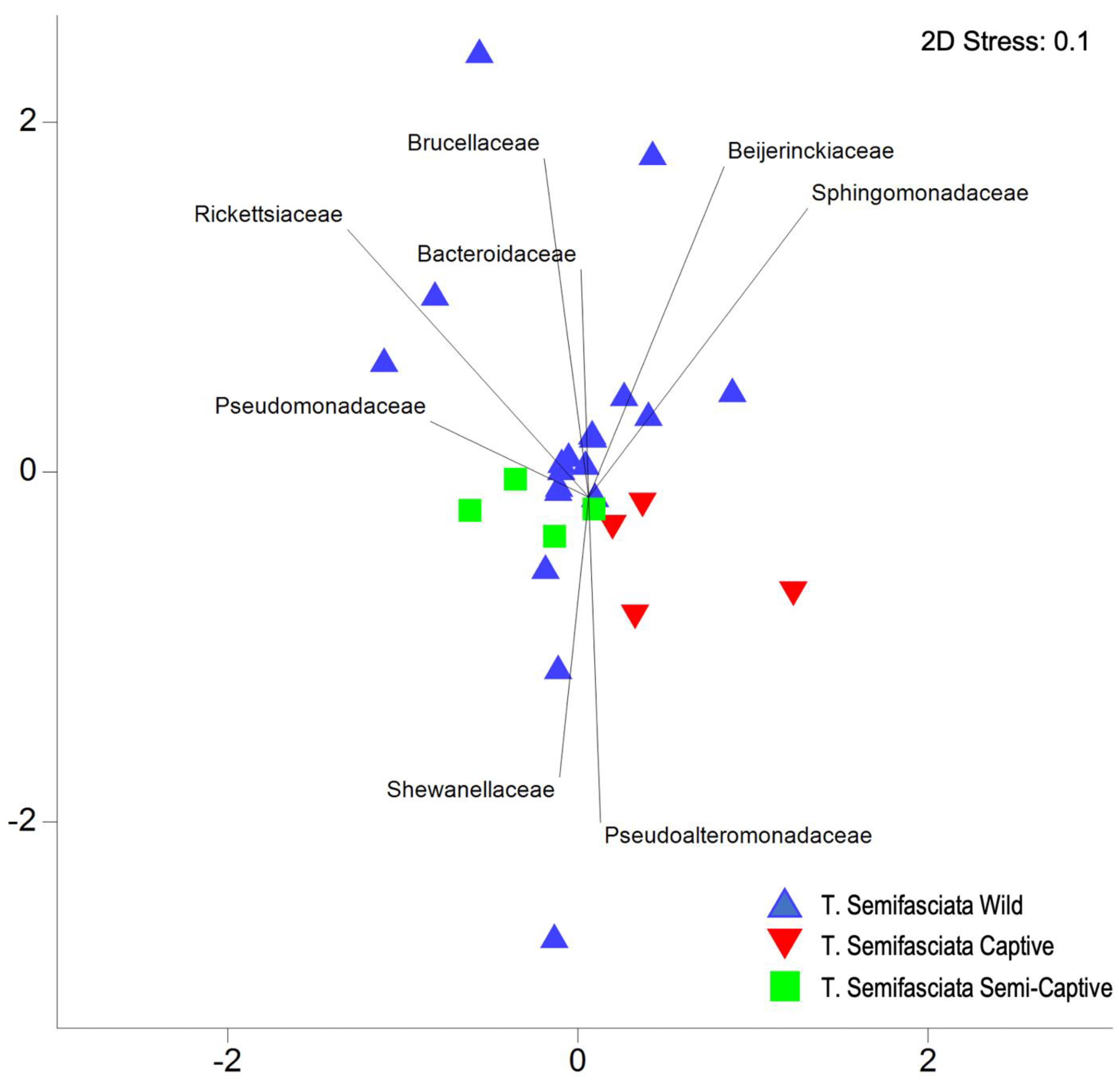 Microorganisms 10 02081 g003
