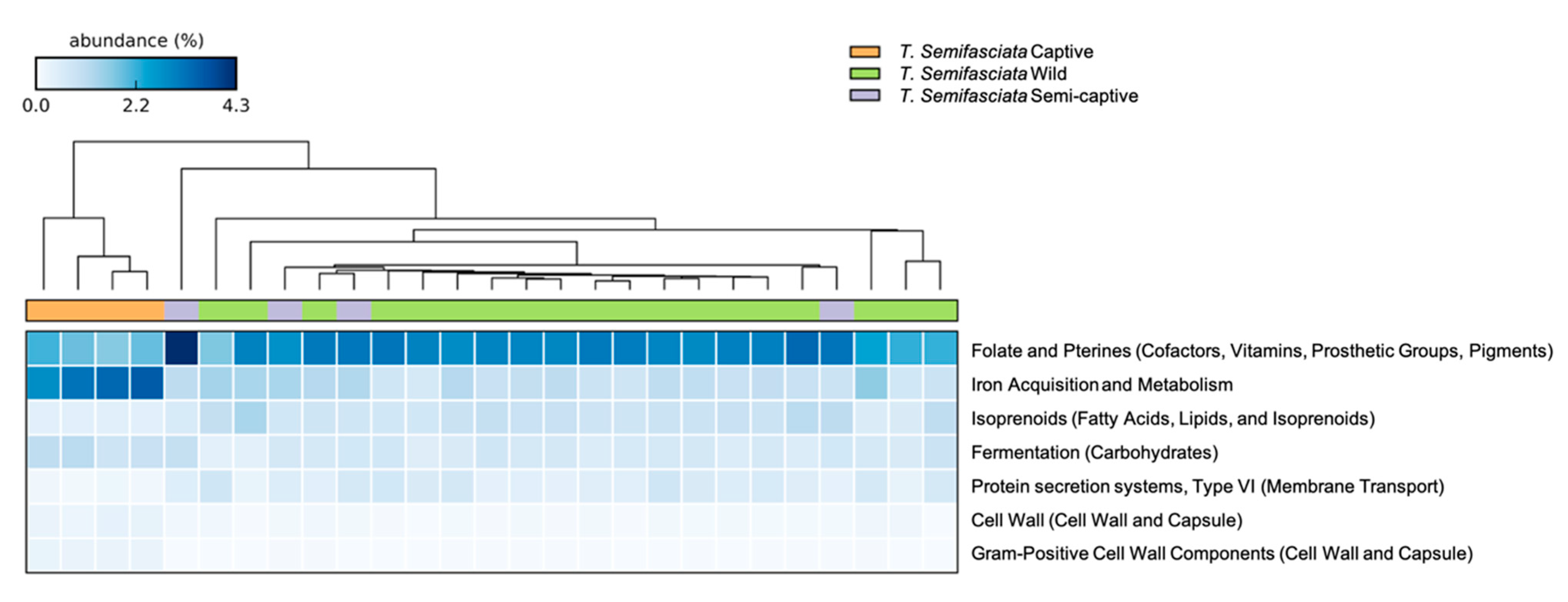 Microorganisms 10 02081 g004