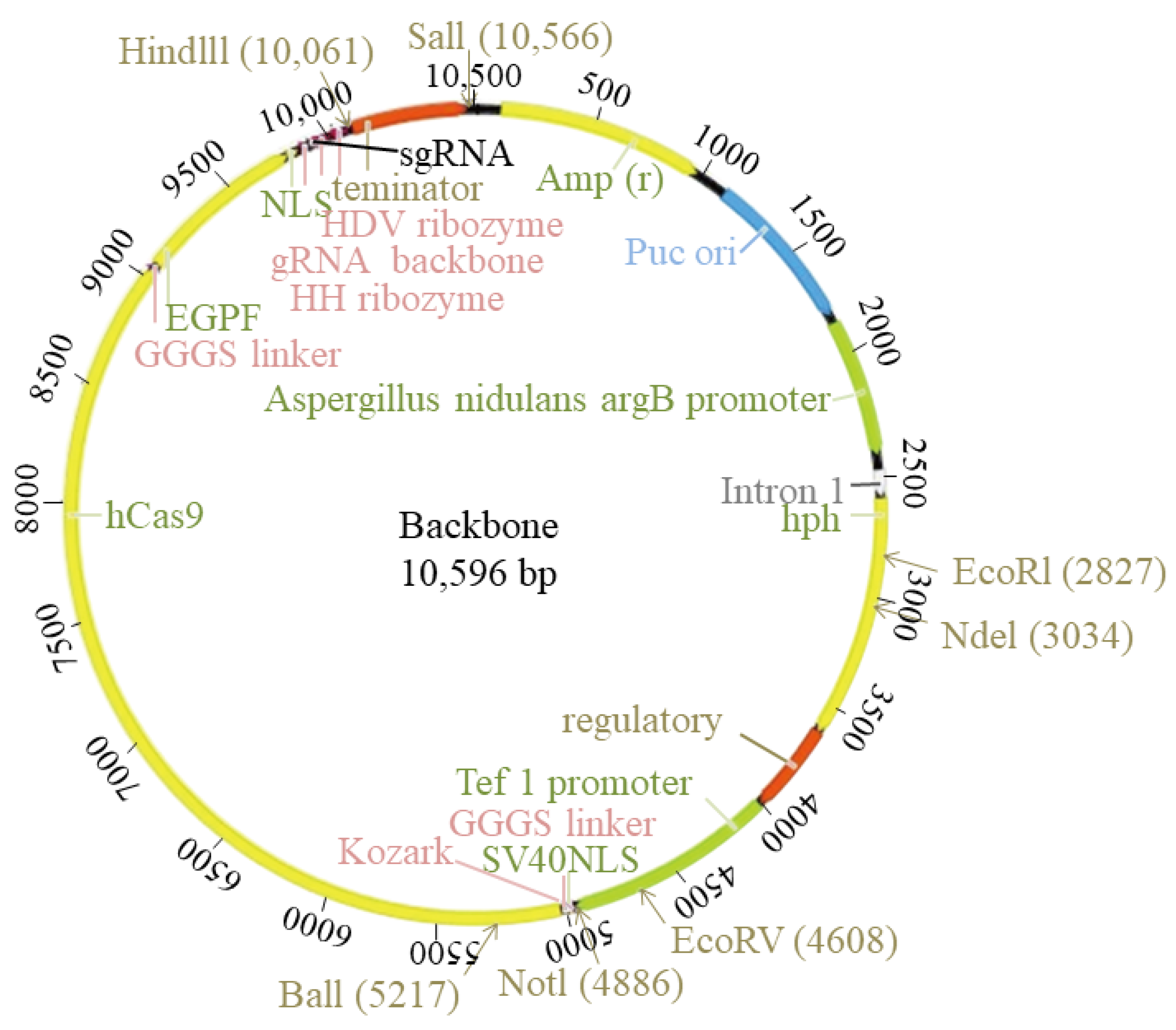 Microorganisms 10 02088 g001 Microorganisms 10 02088 g001