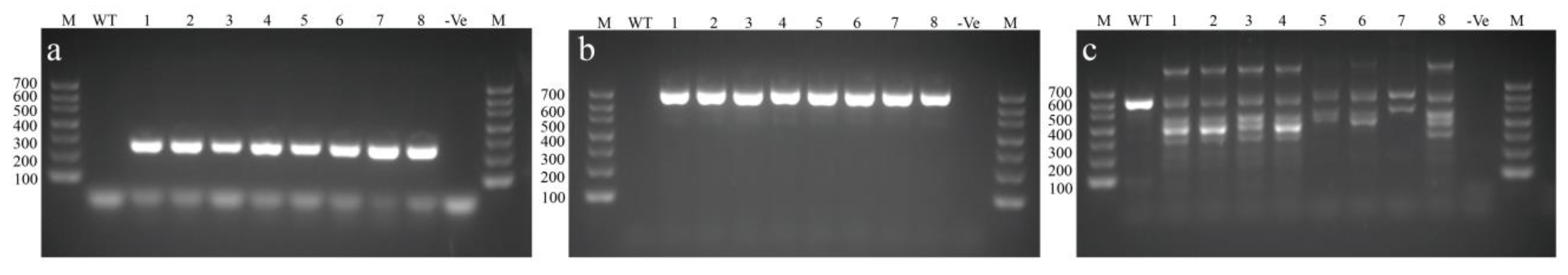 Microorganisms 10 02088 g004 Microorganisms 10 02088 g004