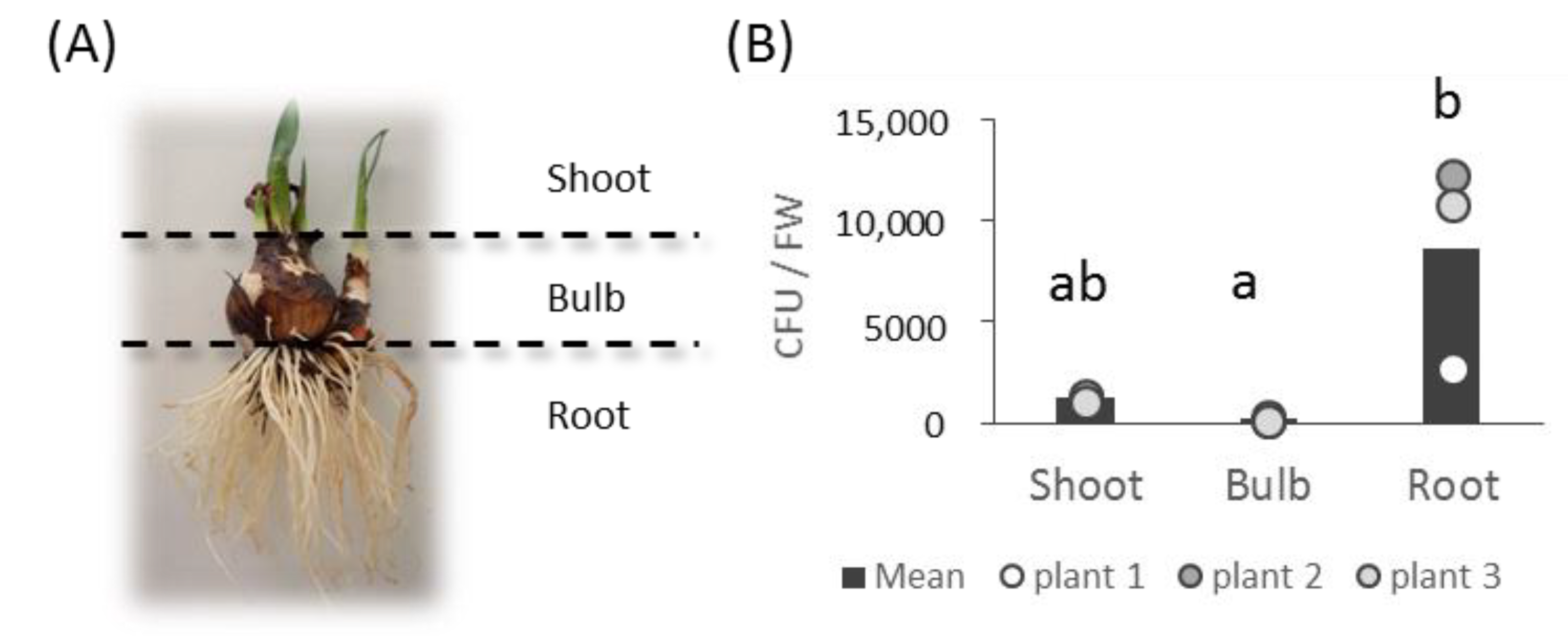 Microorganisms 10 02089 g001