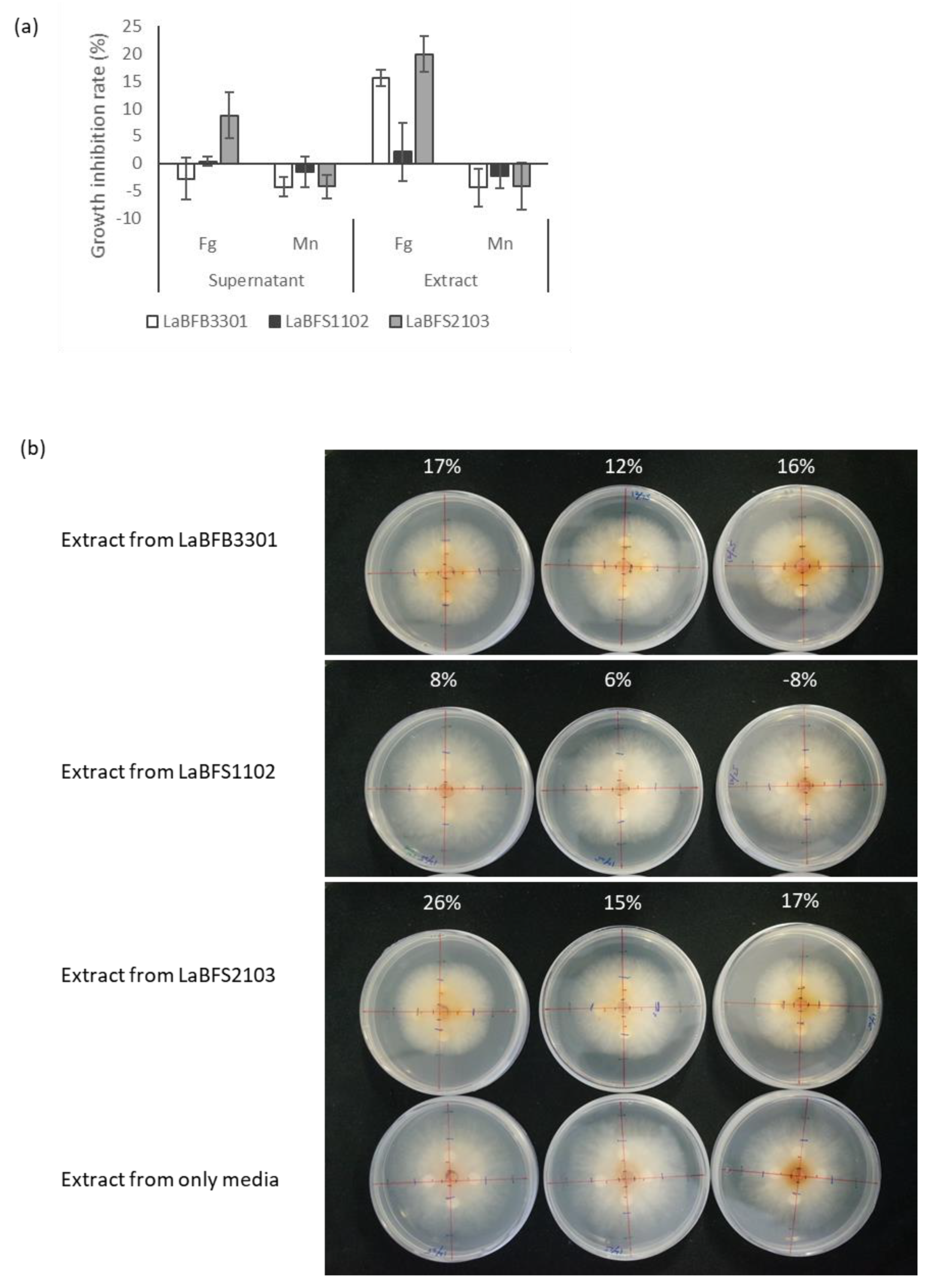 Microorganisms 10 02089 g010