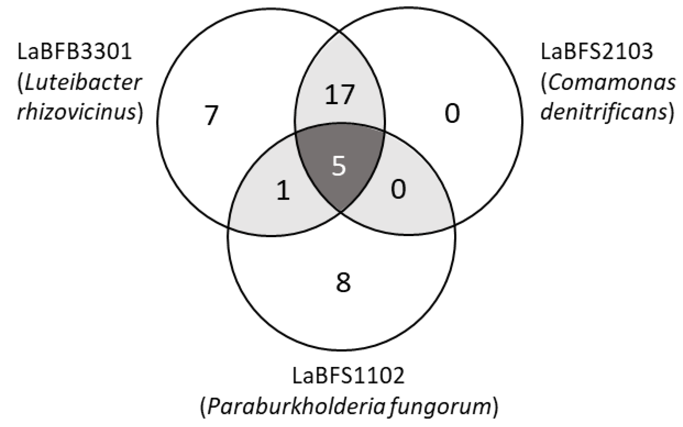 Microorganisms 10 02089 g011