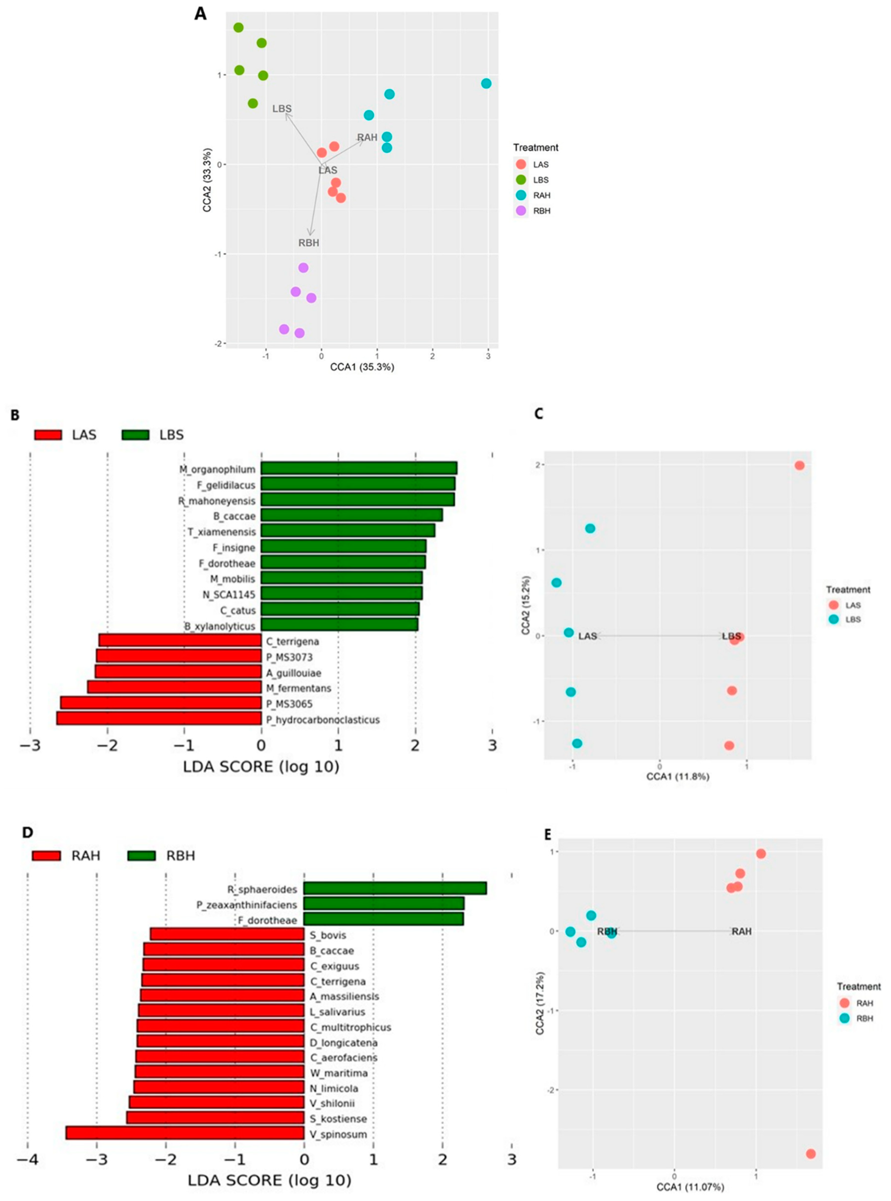 Microorganisms 10 02092 g005 Microorganisms 10 02092 g005