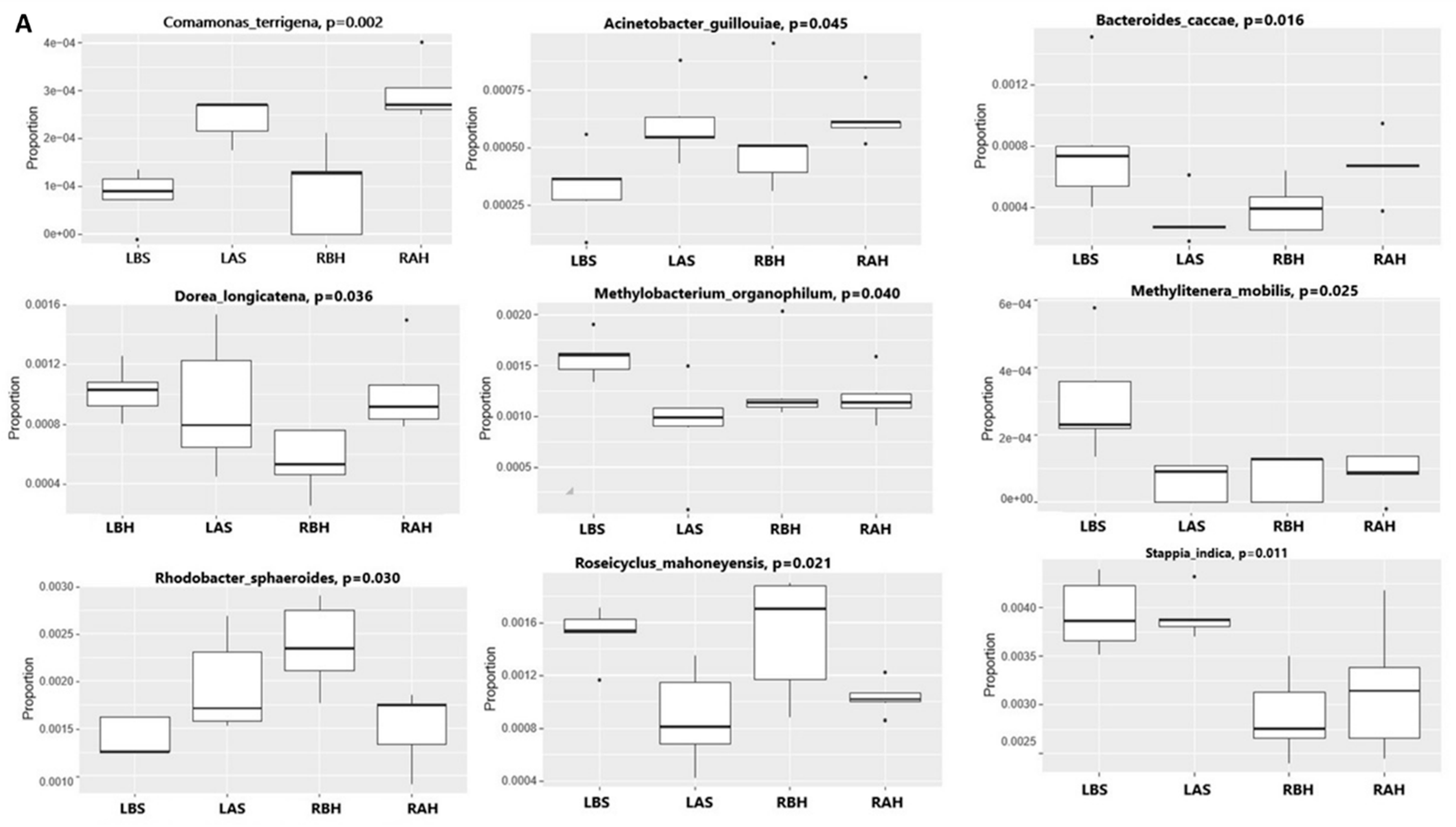 Microorganisms 10 02092 g006a Microorganisms 10 02092 g006a