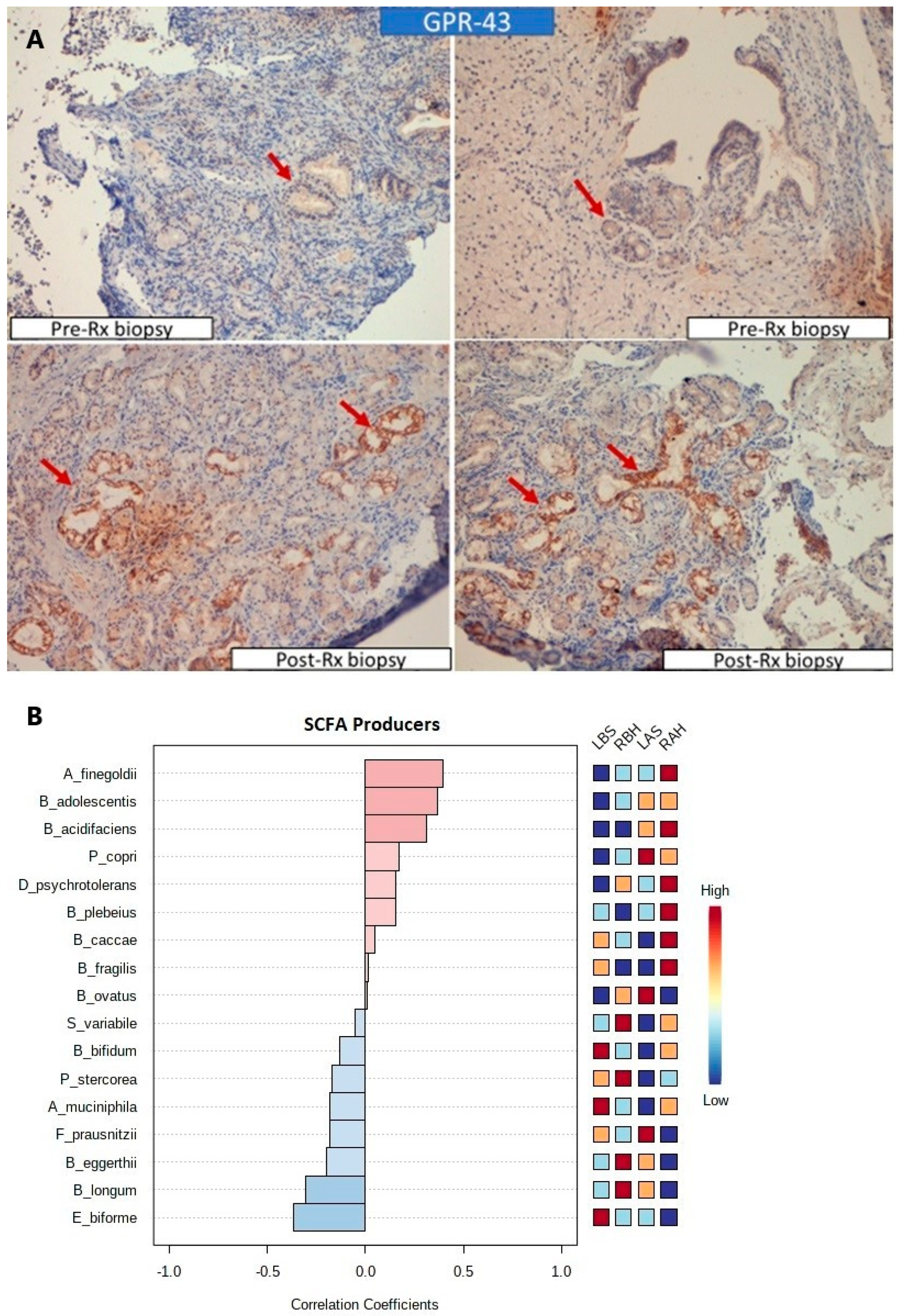 Microorganisms 10 02092 g007 Microorganisms 10 02092 g007