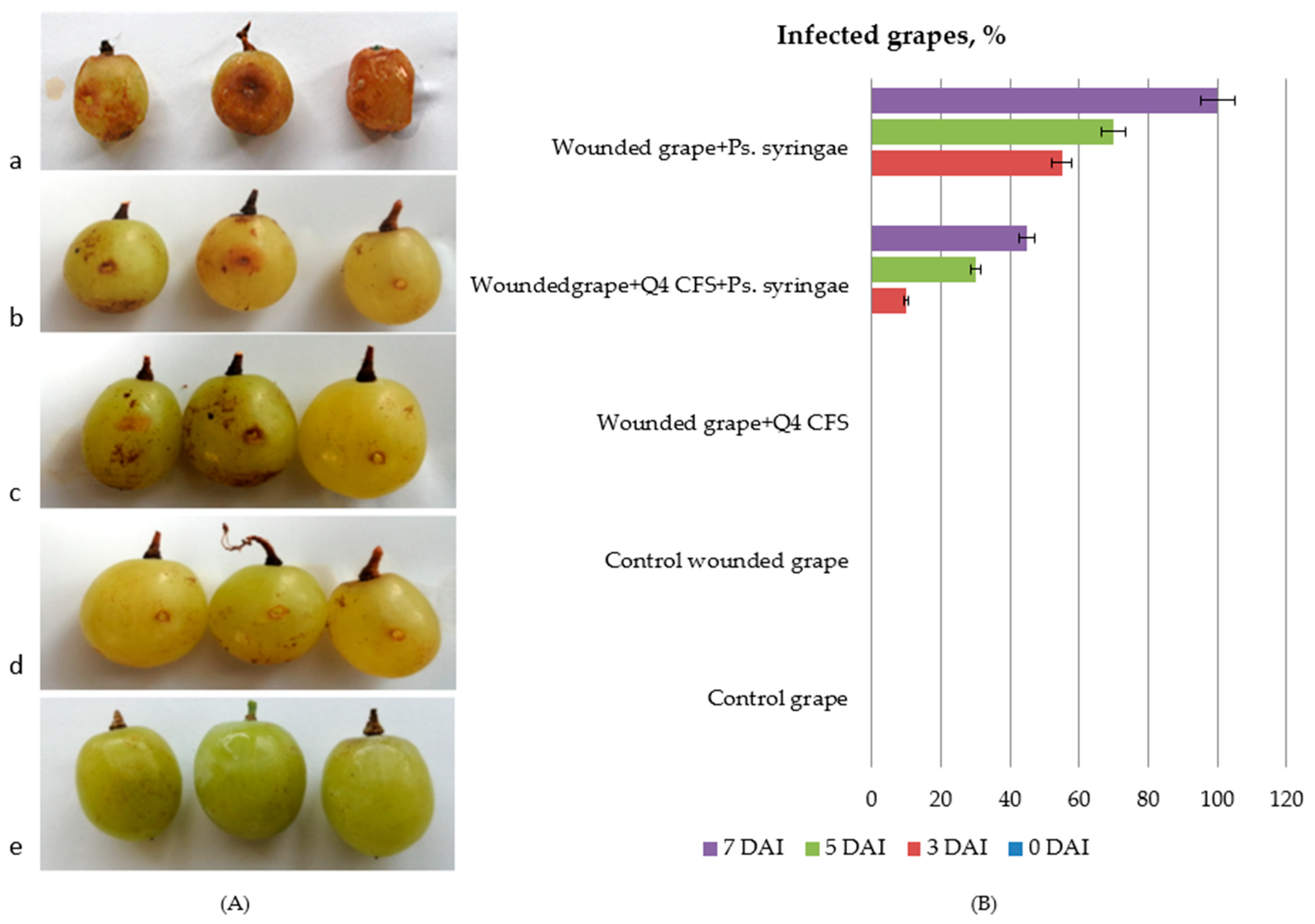 Microorganisms 10 02094 g005 Microorganisms 10 02094 g005