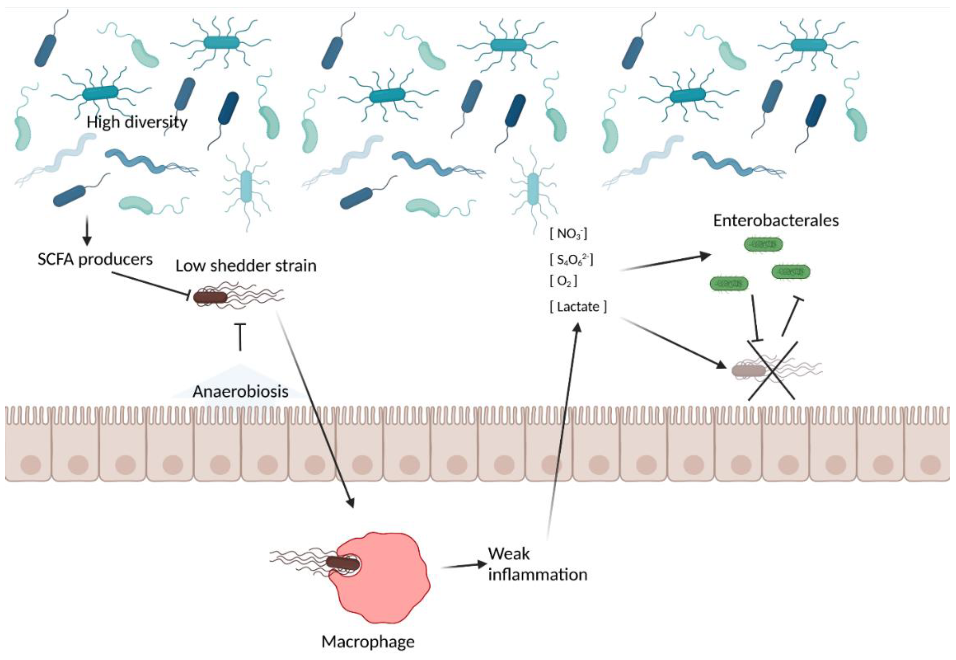 Microorganisms 10 02101 g002 Microorganisms 10 02101 g002