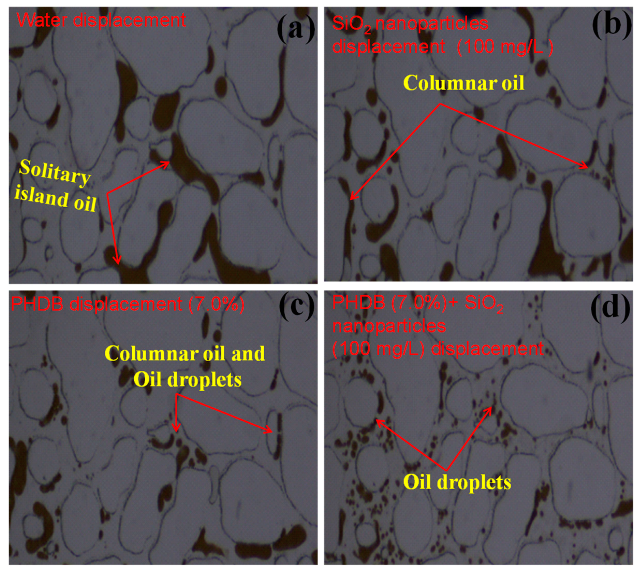 Microorganisms 10 02104 g005
