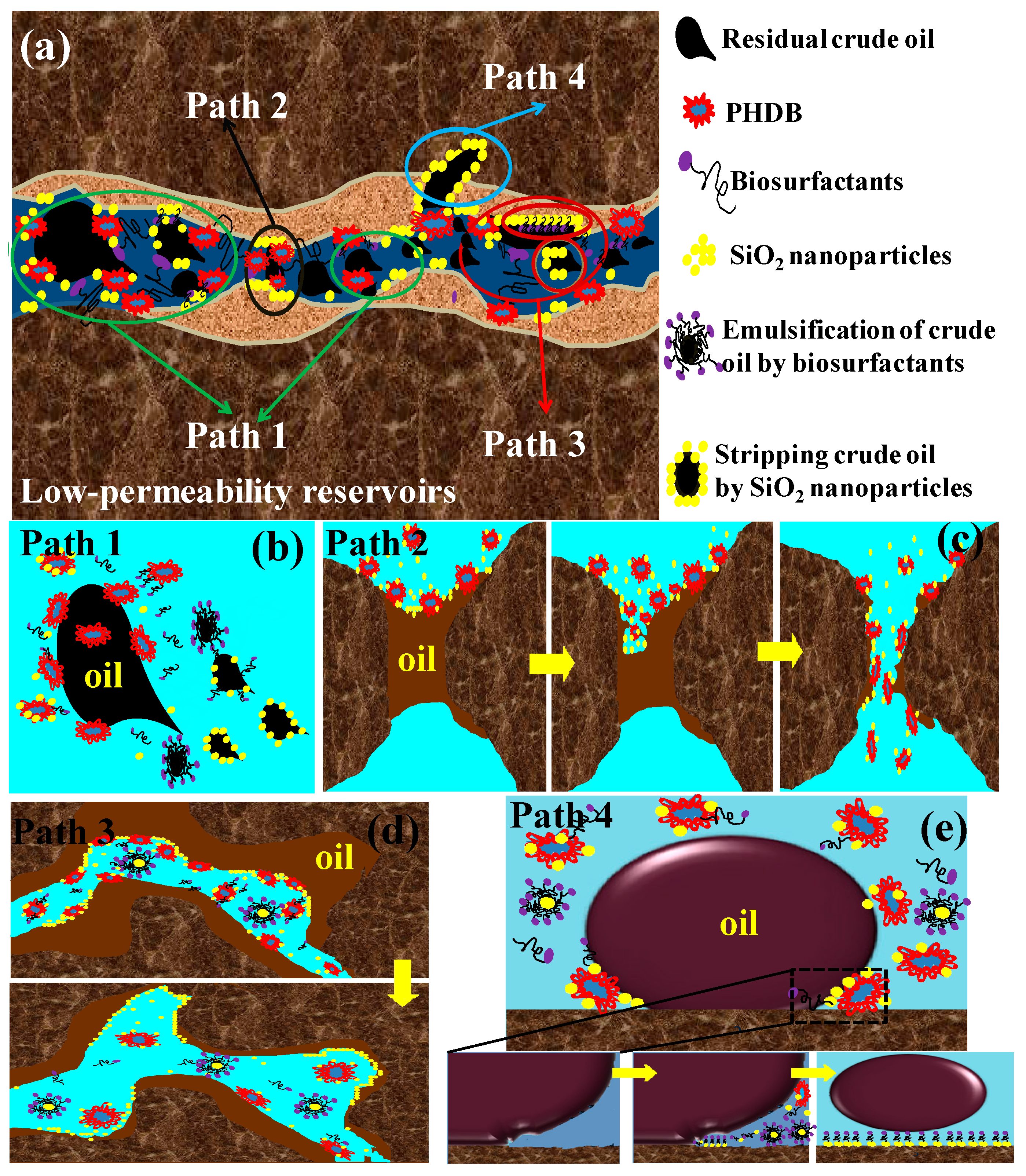 Microorganisms 10 02104 g007