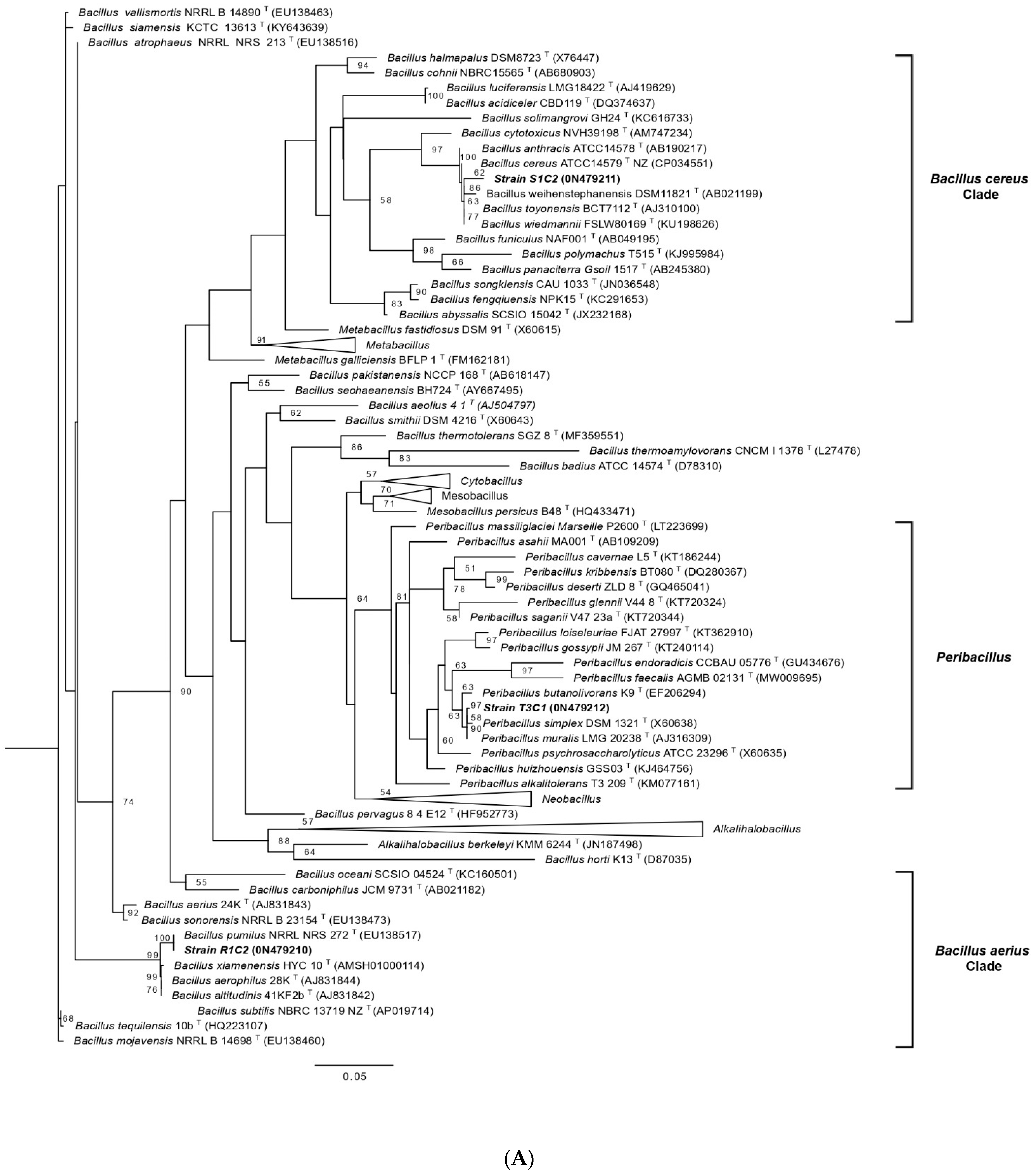 Microorganisms 10 02108 g002a Microorganisms 10 02108 g002a