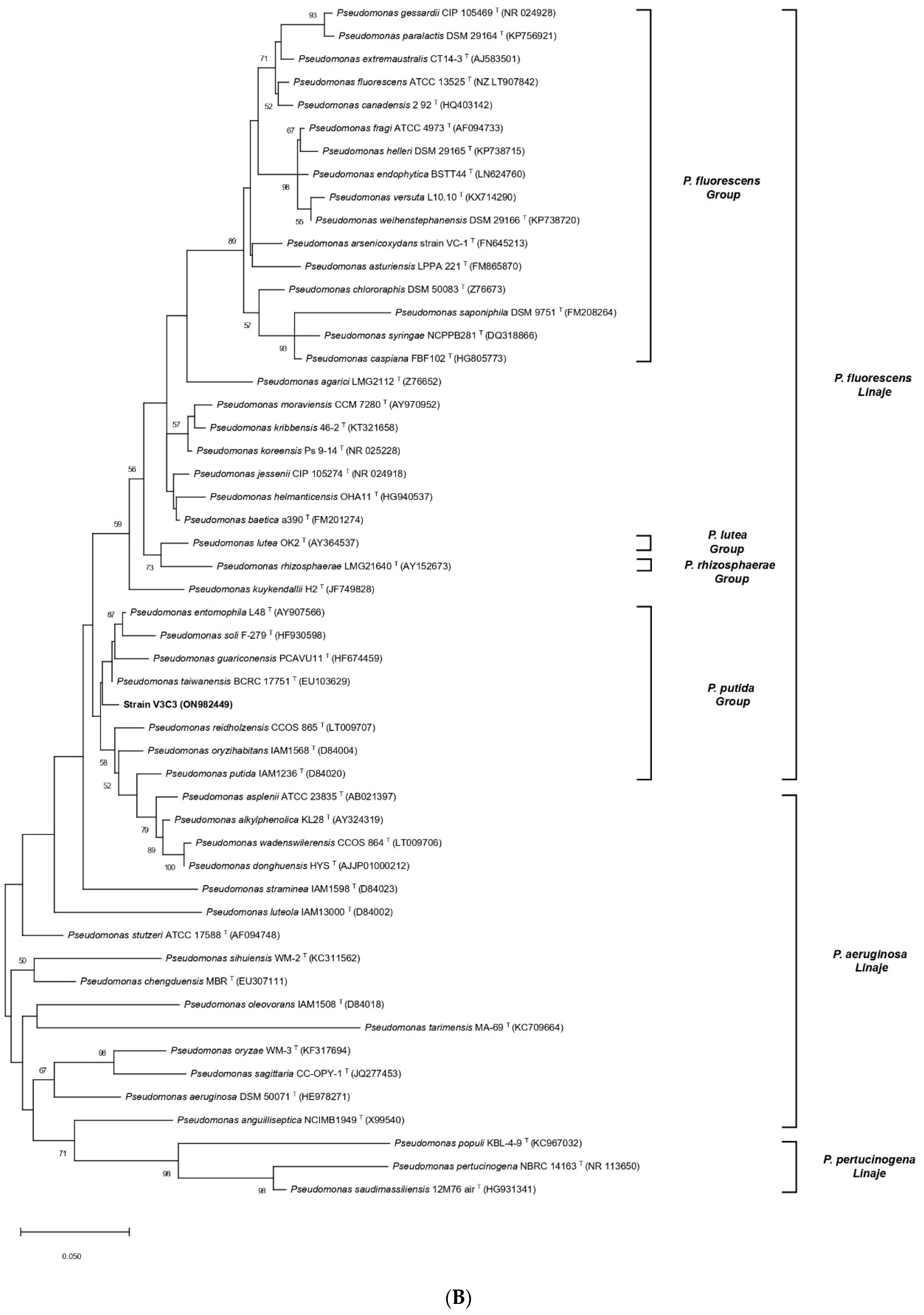 Microorganisms 10 02108 g002b Microorganisms 10 02108 g002b