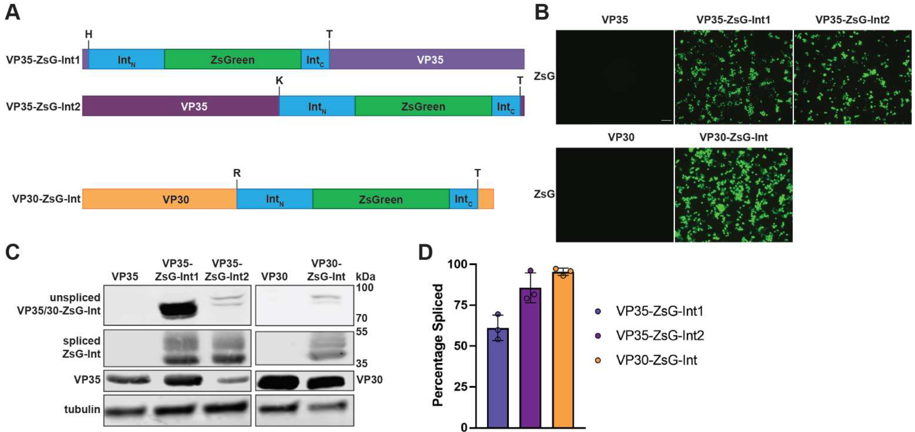 Microorganisms 10 02110 g002