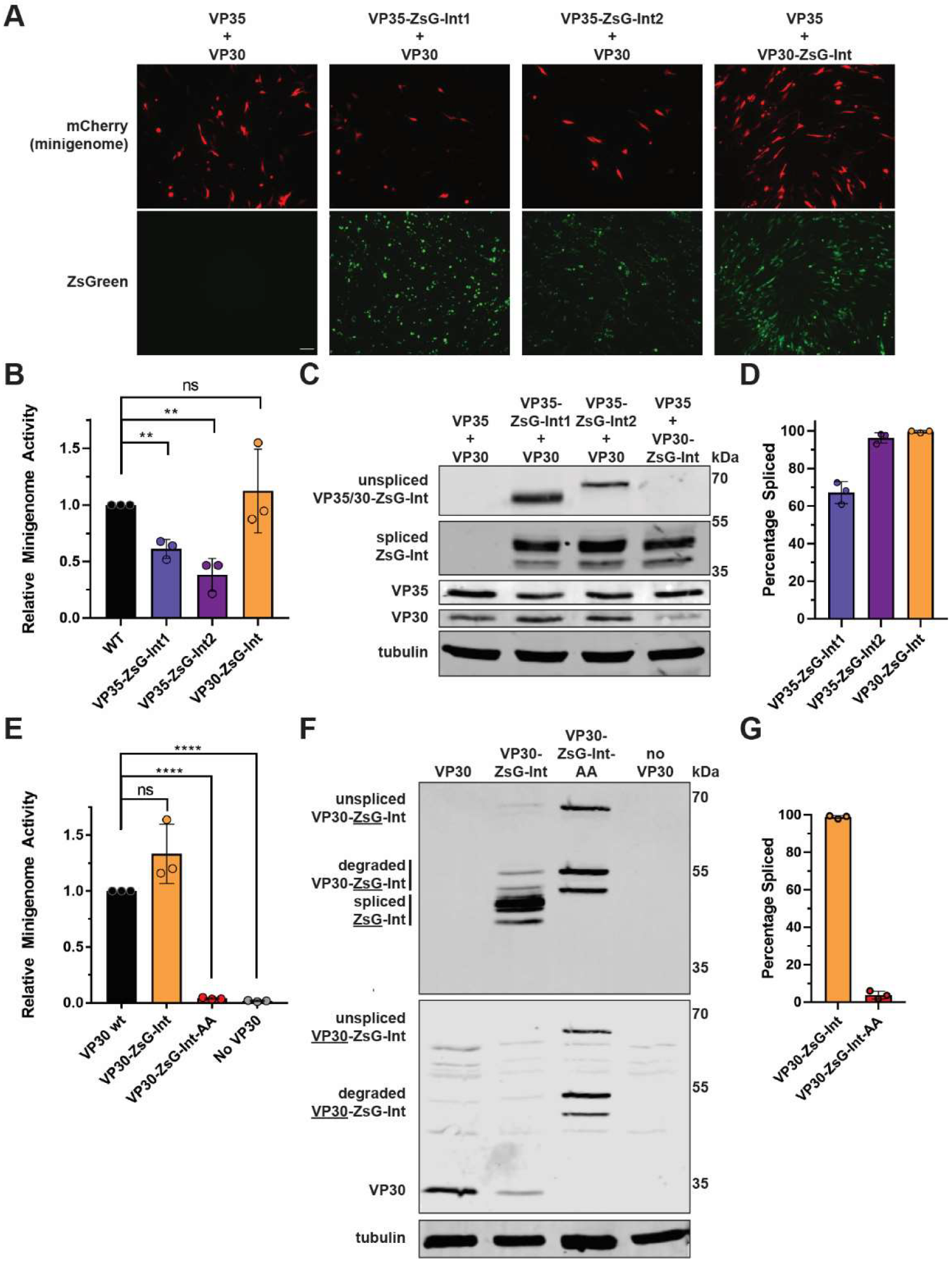 Microorganisms 10 02110 g003