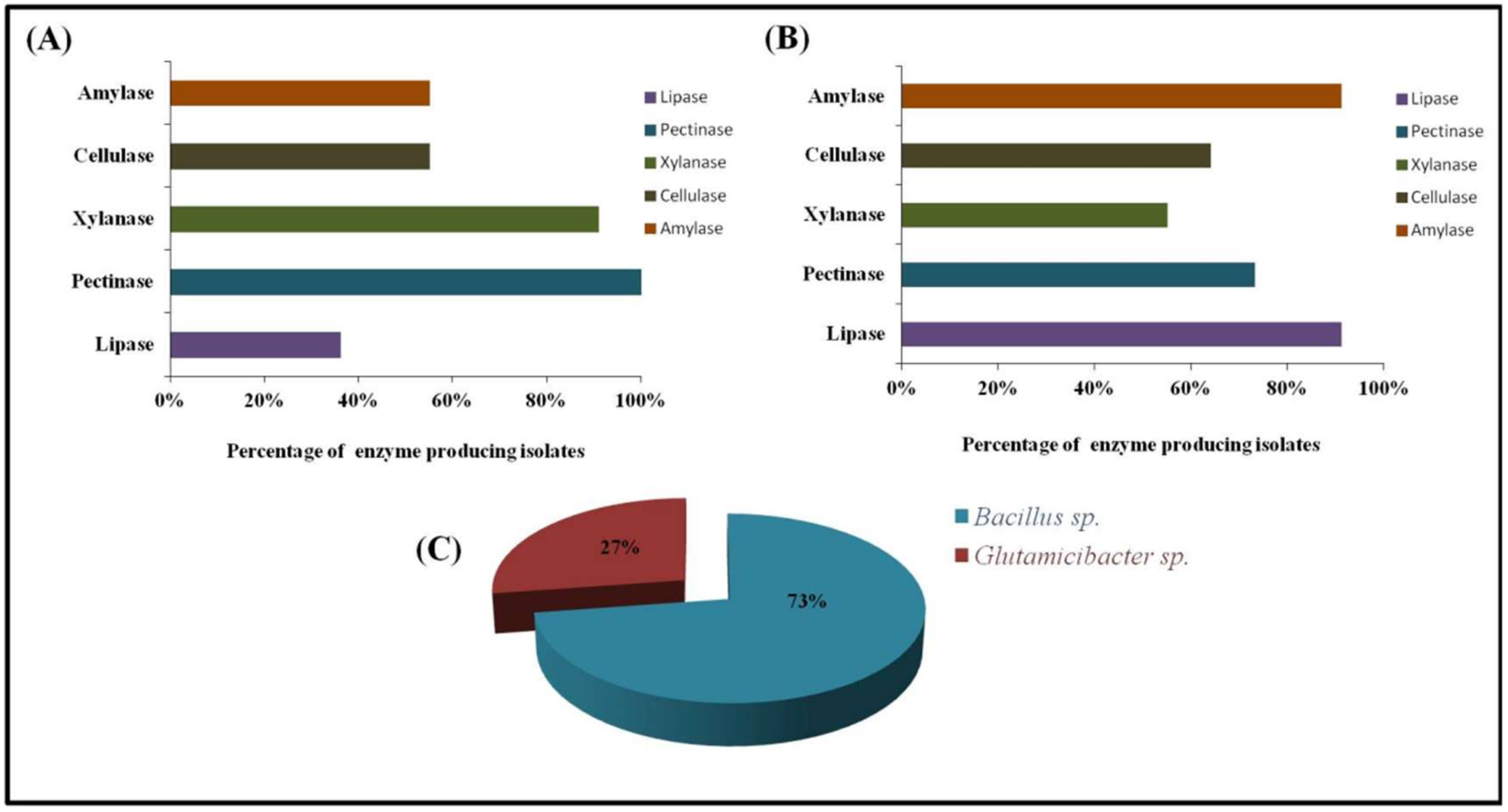 Microorganisms 10 02112 g002 Microorganisms 10 02112 g002