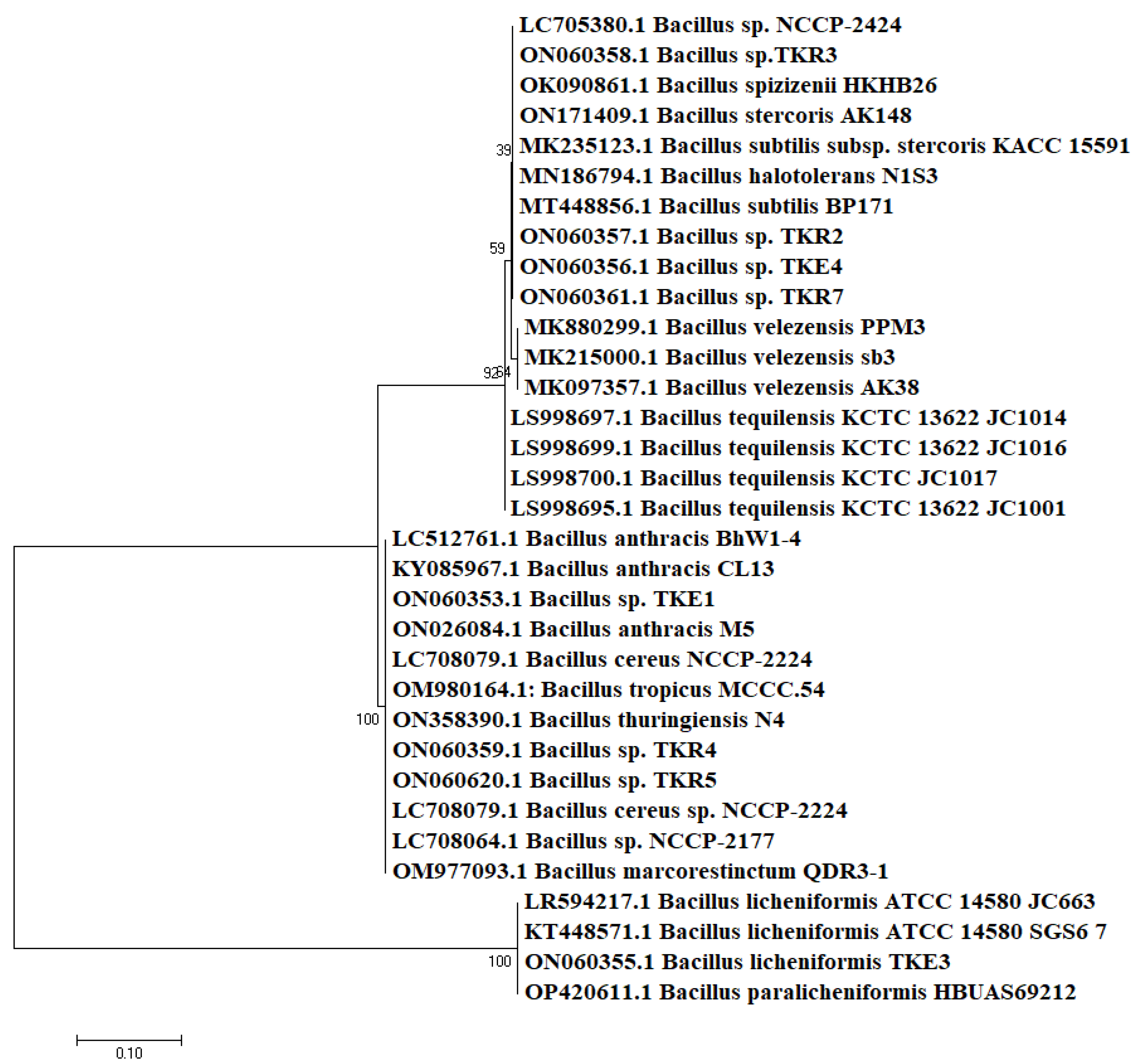 Microorganisms 10 02112 g003 Microorganisms 10 02112 g003