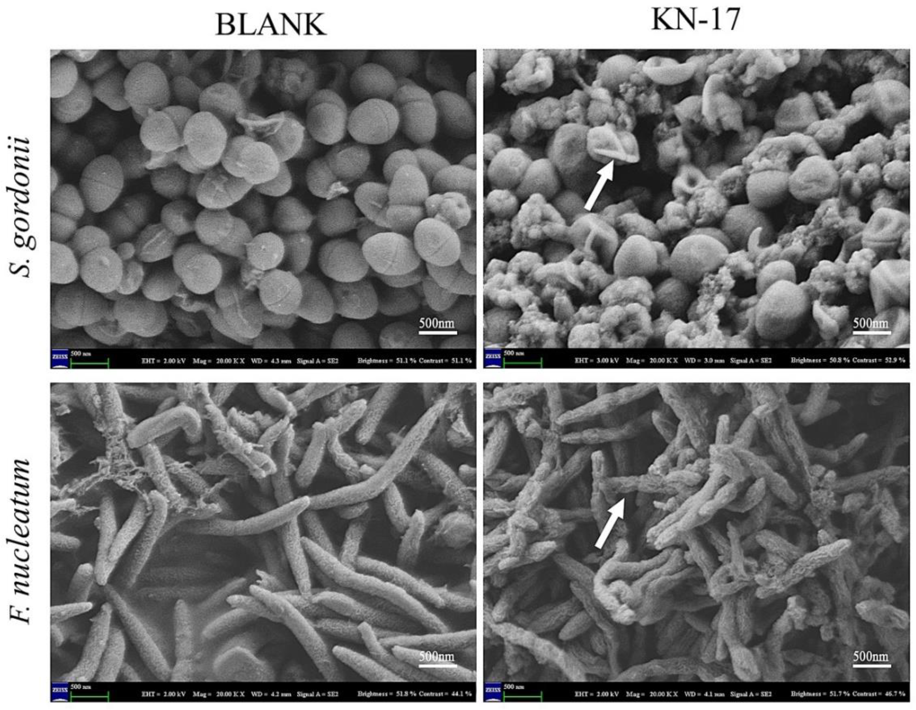 Microorganisms 10 02114 g004 Microorganisms 10 02114 g004