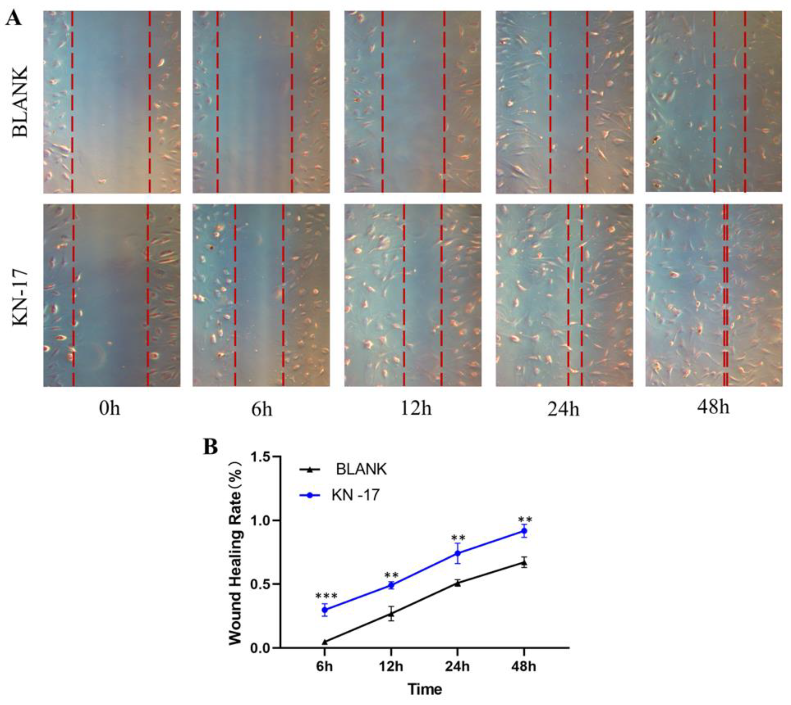 Microorganisms 10 02114 g006 Microorganisms 10 02114 g006