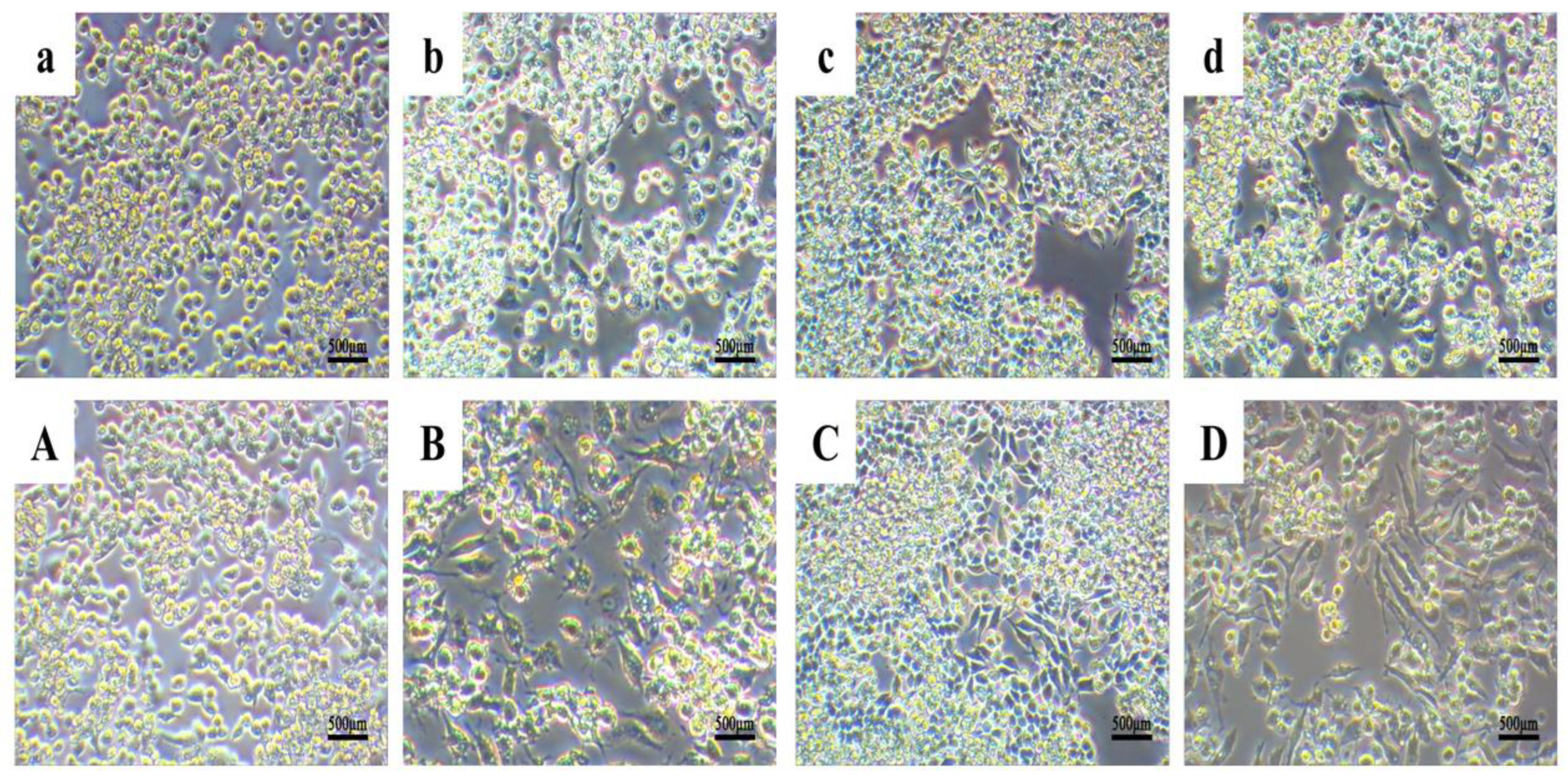 Microorganisms 10 02114 g009 Microorganisms 10 02114 g009