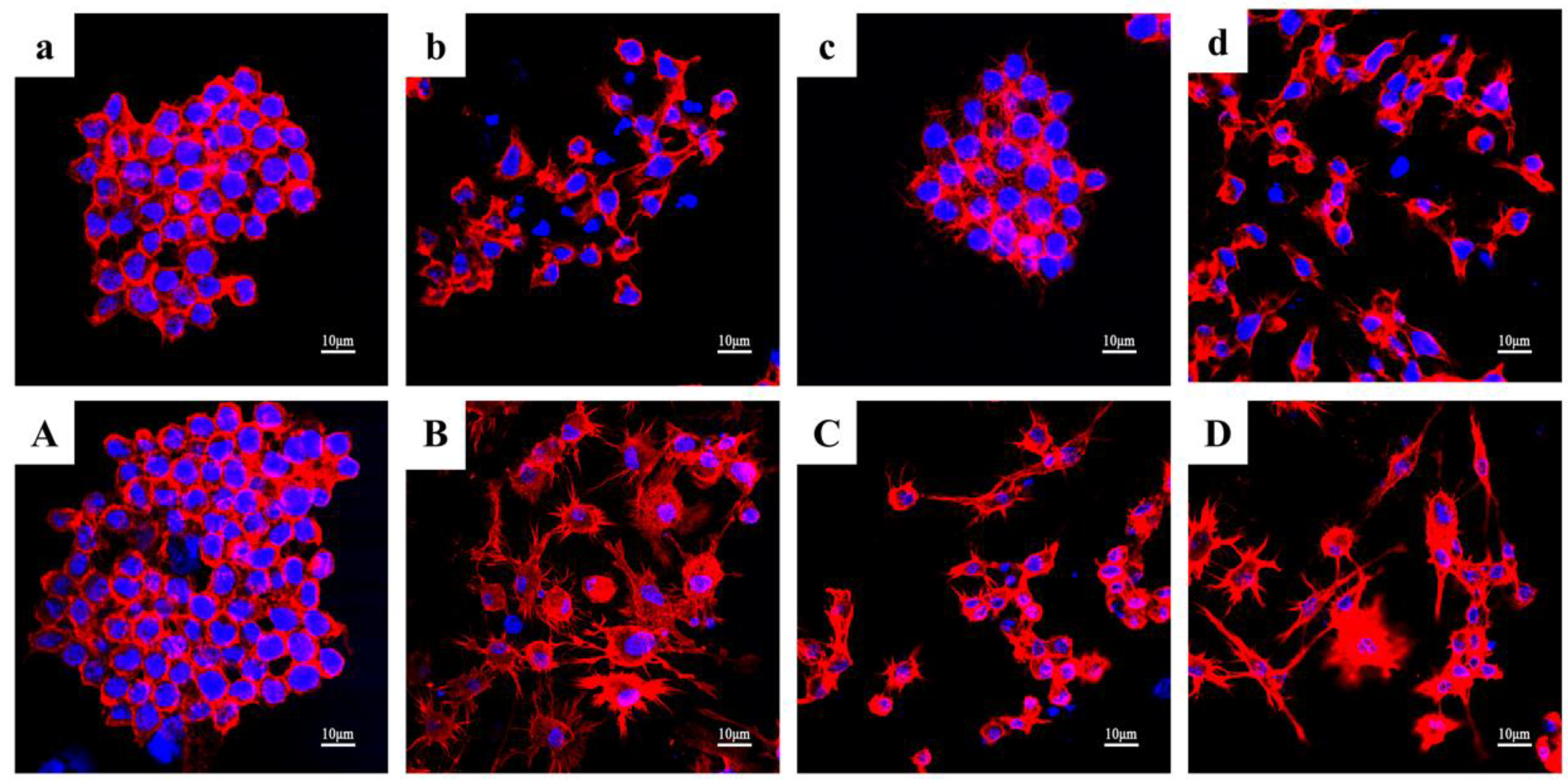 Microorganisms 10 02114 g010 Microorganisms 10 02114 g010