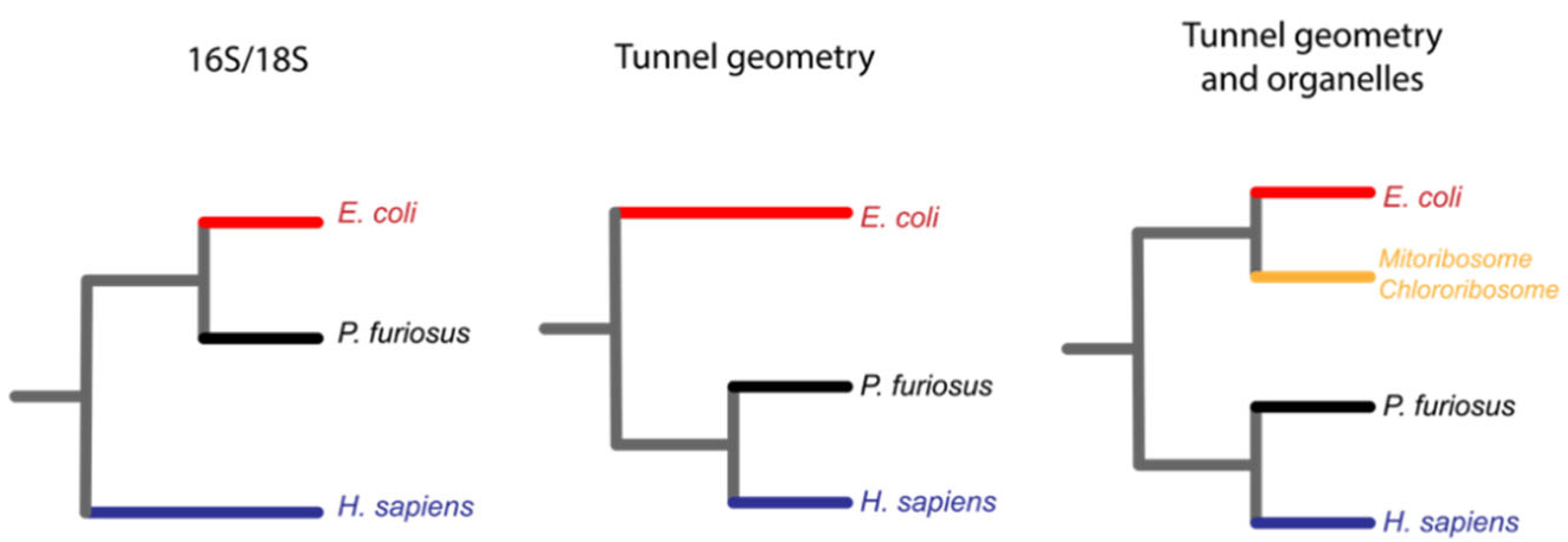 Microorganisms 10 02115 g005