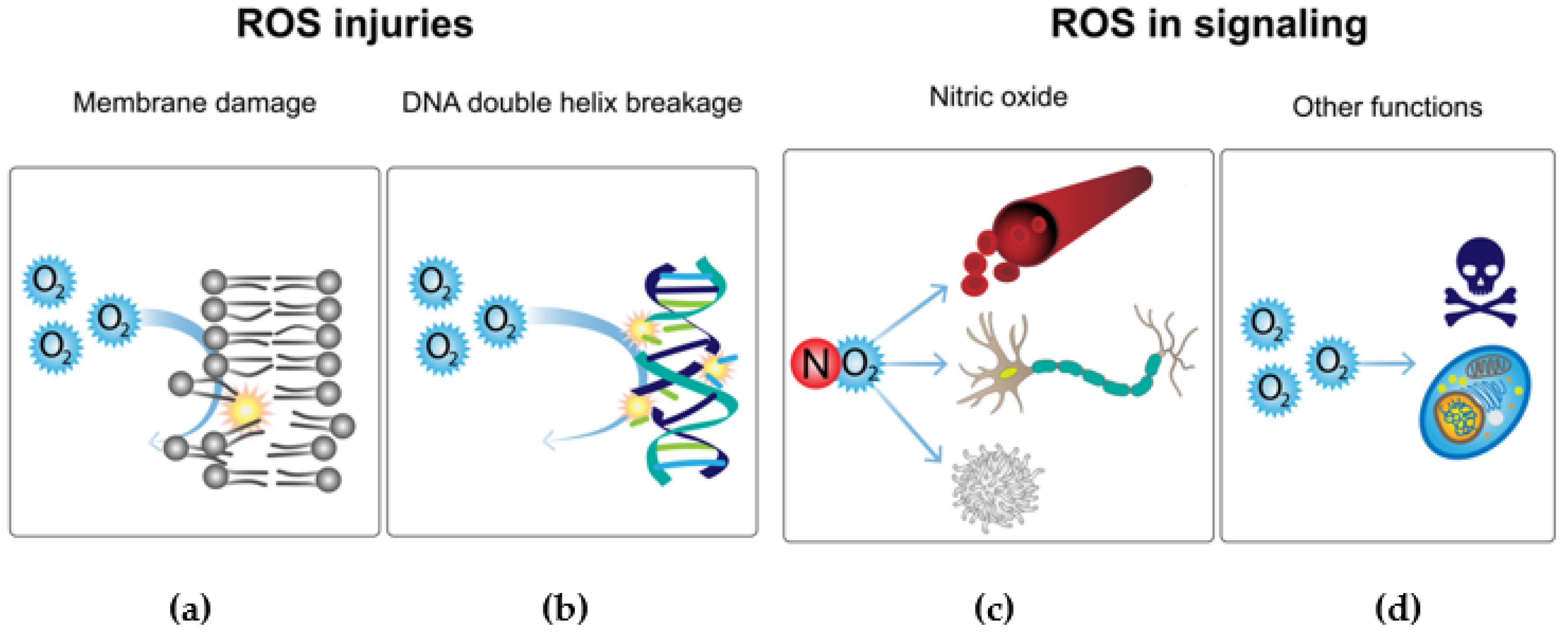 Microorganisms 10 02115 g007
