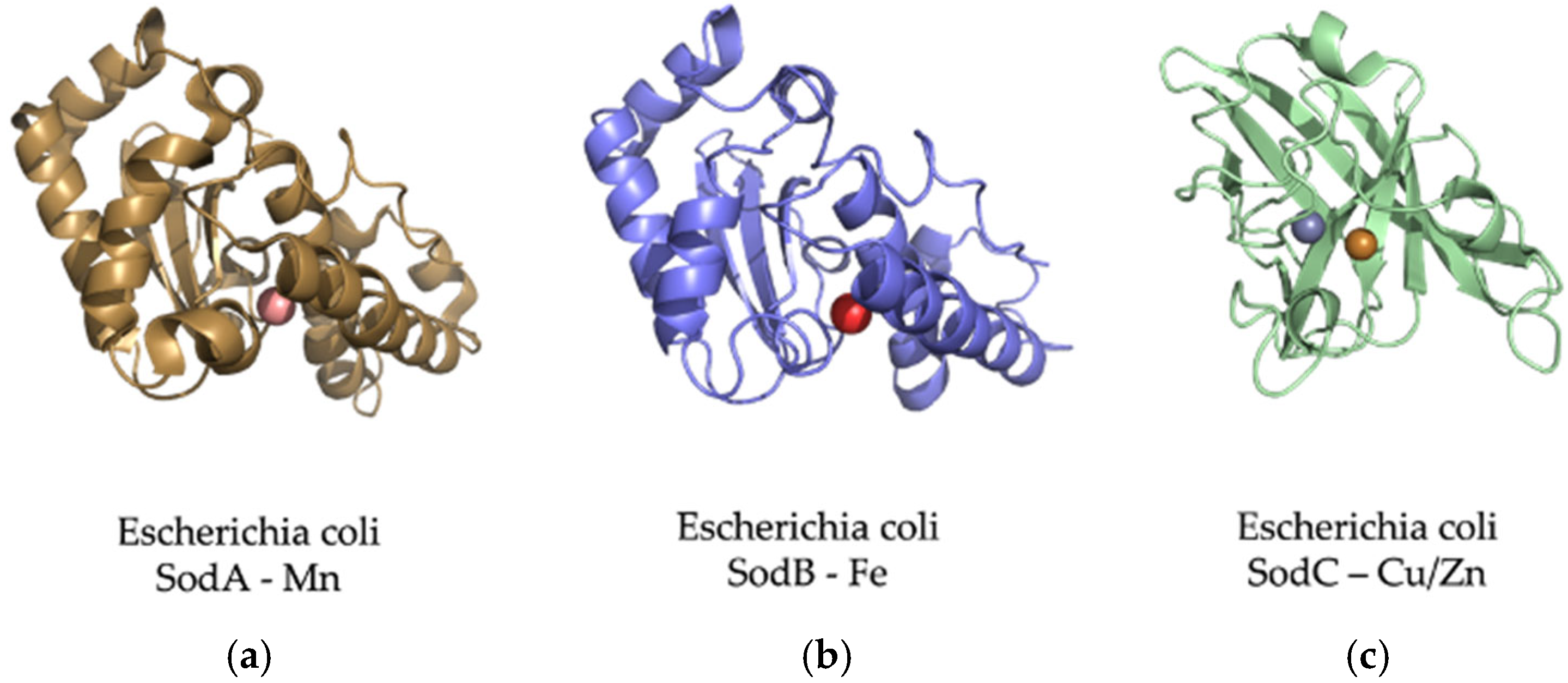 Microorganisms 10 02115 g008